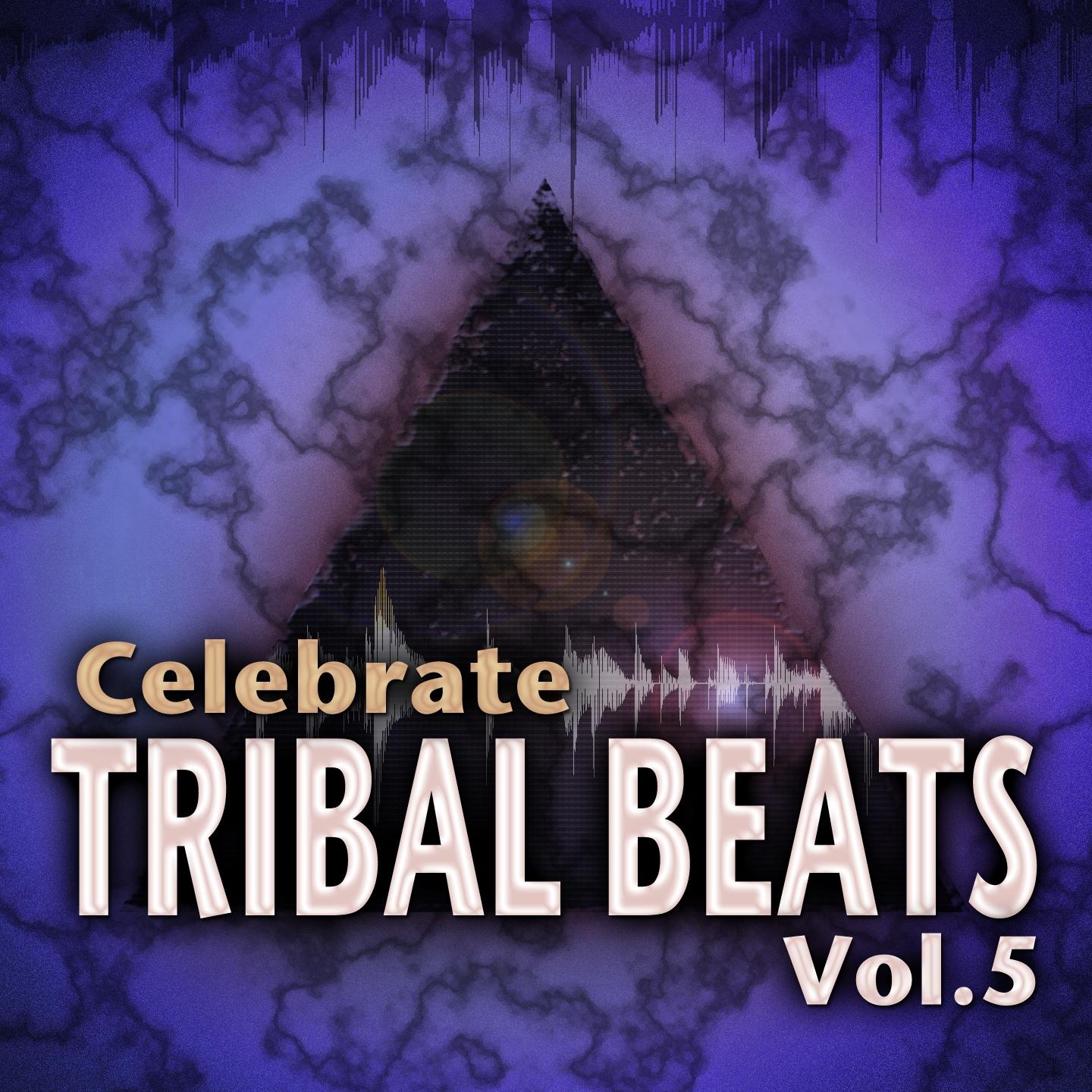 Celebrate Tribal Beats, Vol. 5 (Collection from Progressive to Tech House With Jazzy Latin Tribal Influences)