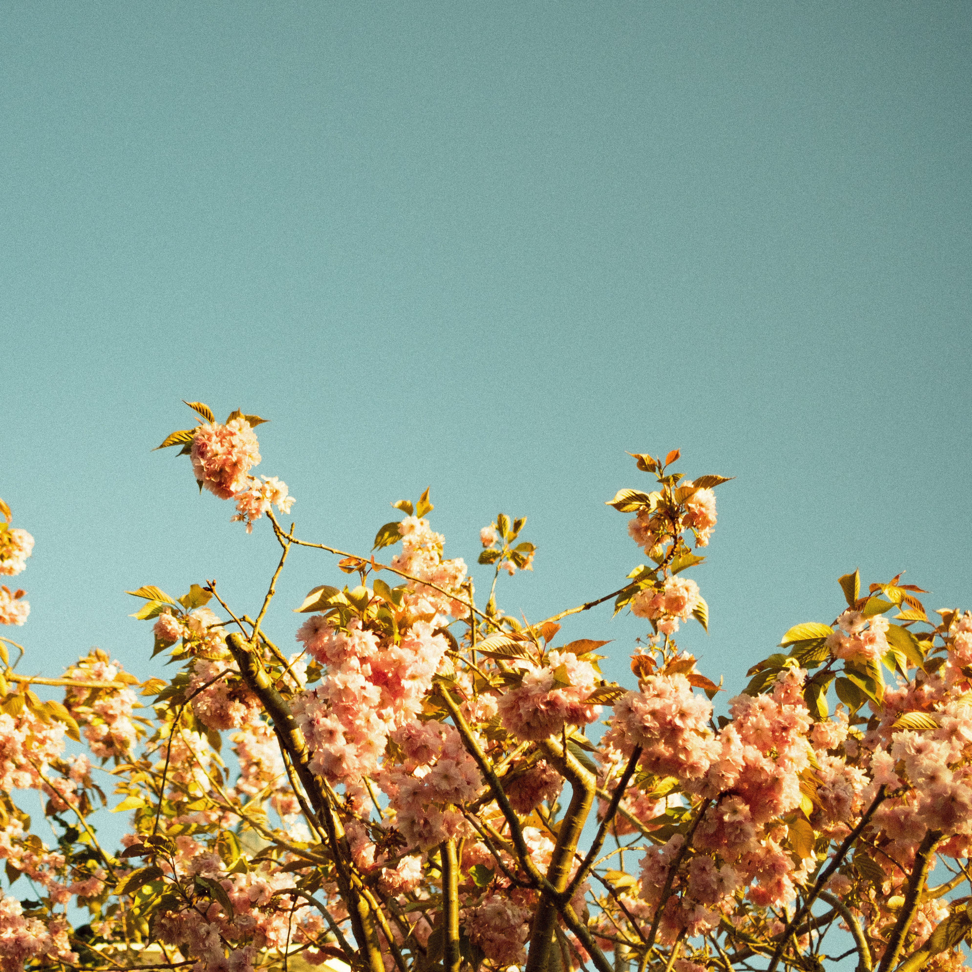 I Used To Love You, Now I Don' t