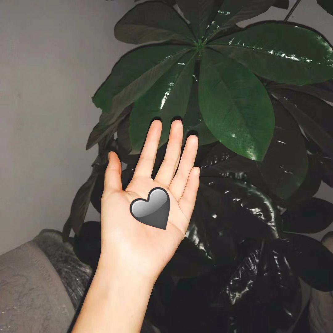 song ni yi ke hei se de xin xin