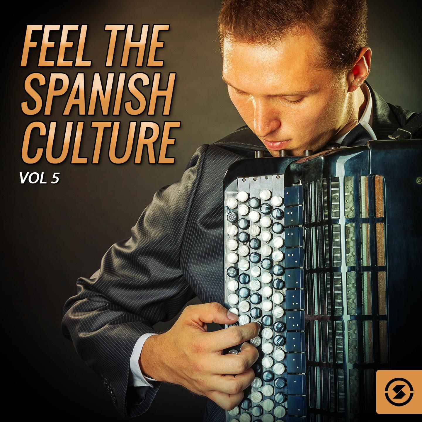 Feel The Spanish Culture, Vol. 5