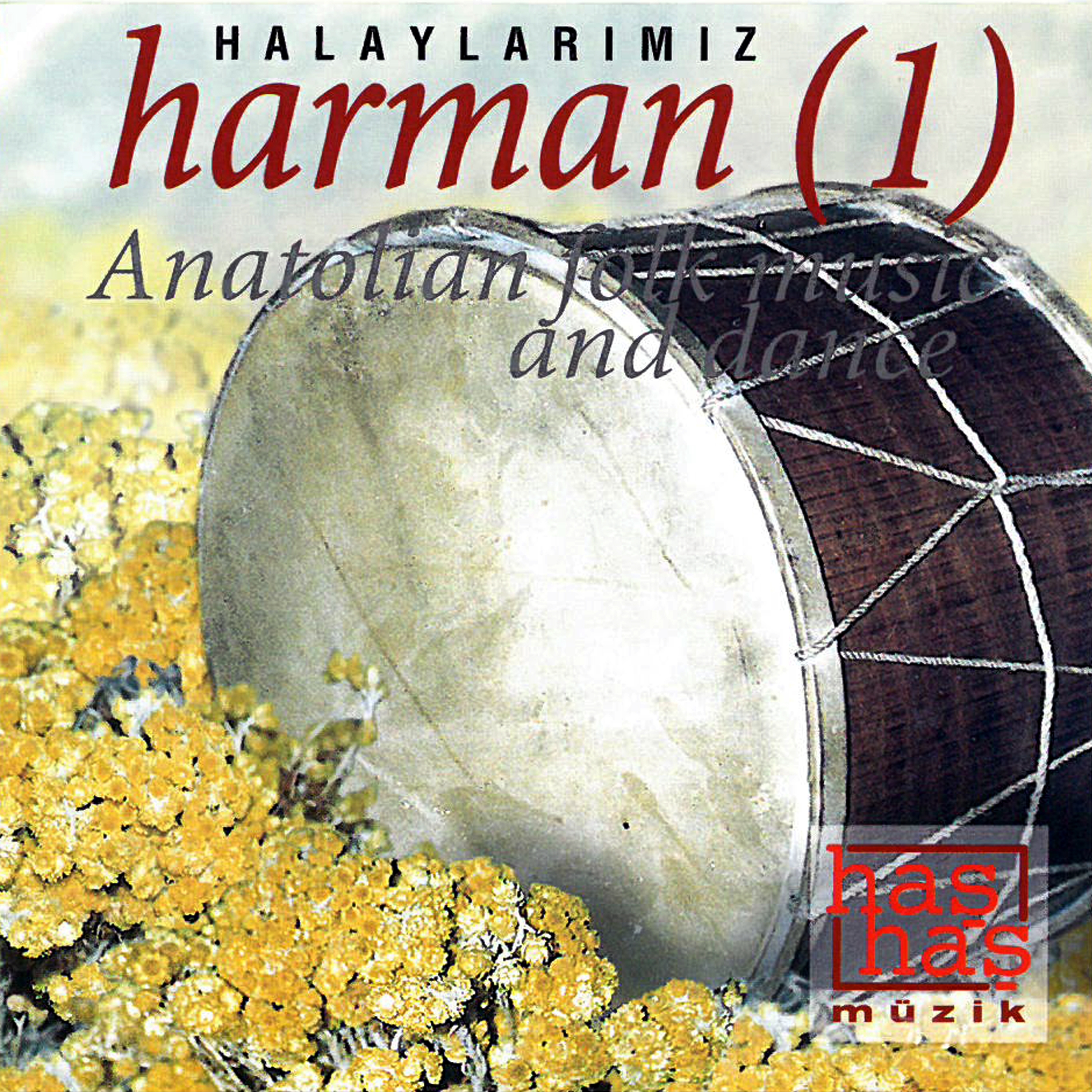 Bir Dilim ki Dilim Elma