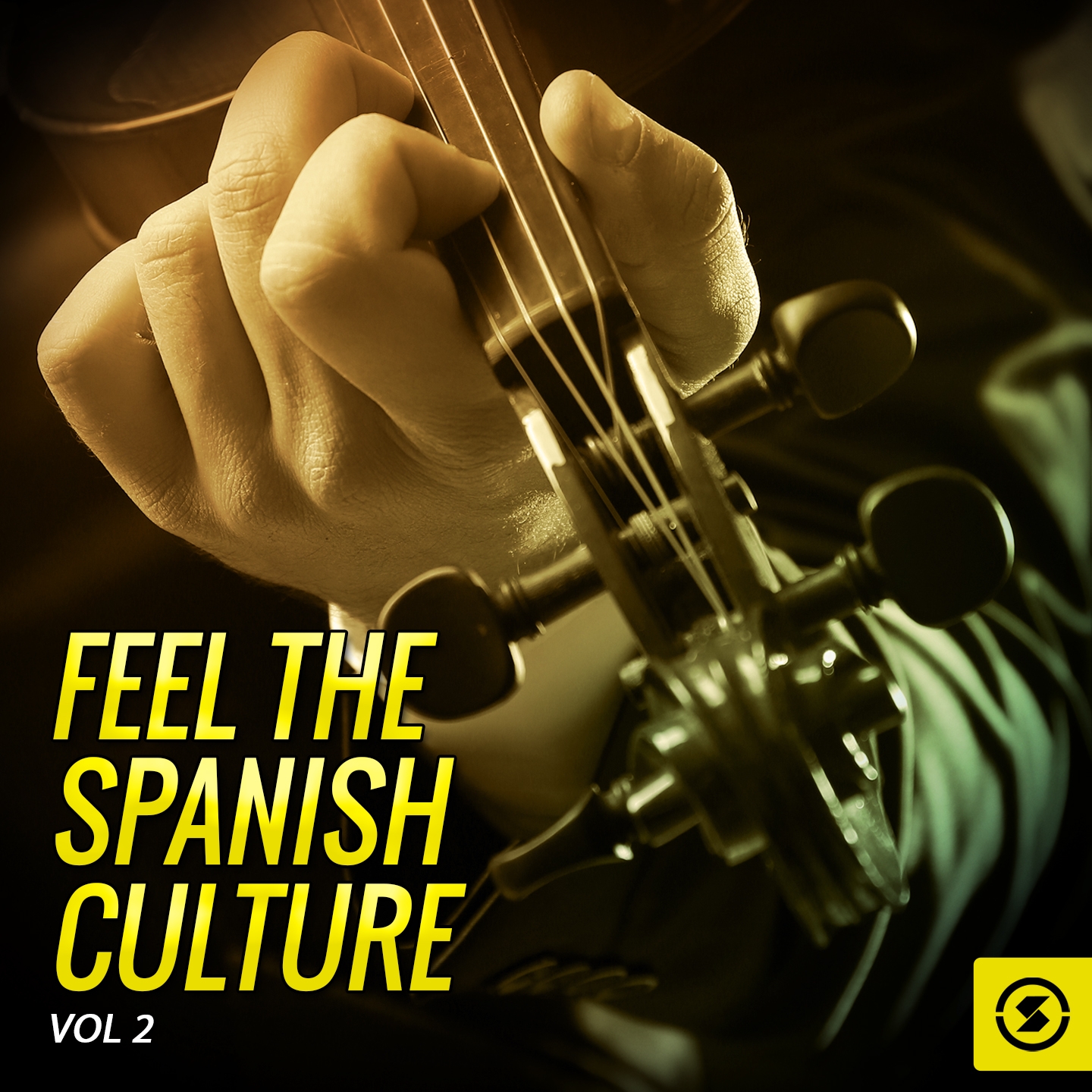 Feel The Spanish Culture, Vol. 2