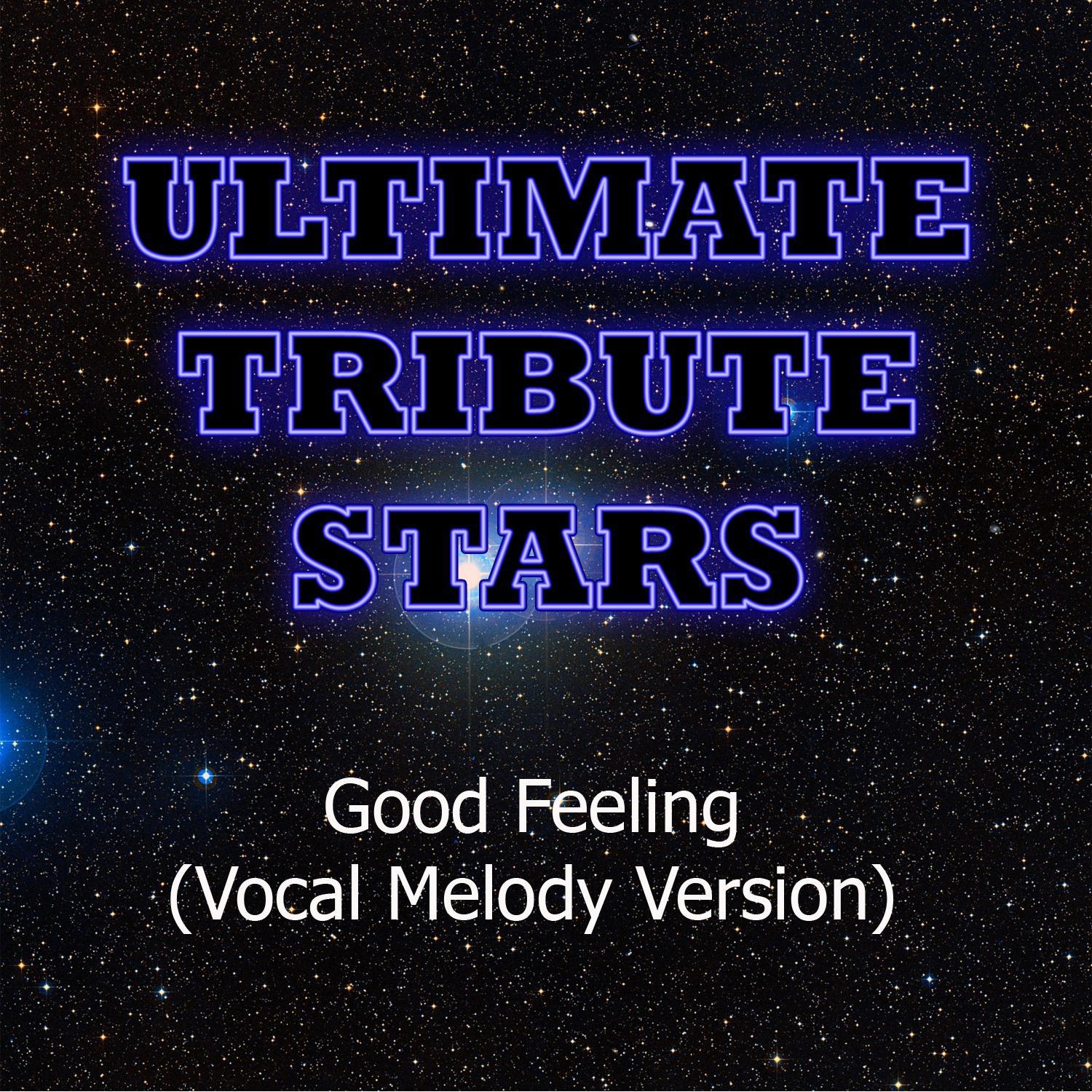 Flo Rida - Good Feeling (Vocal Melody Version)