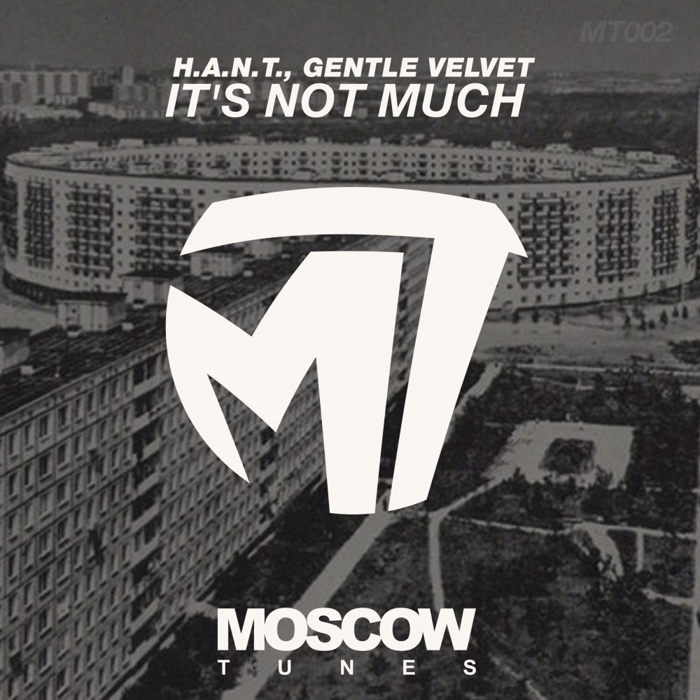 It's Not Much (Original Mix)