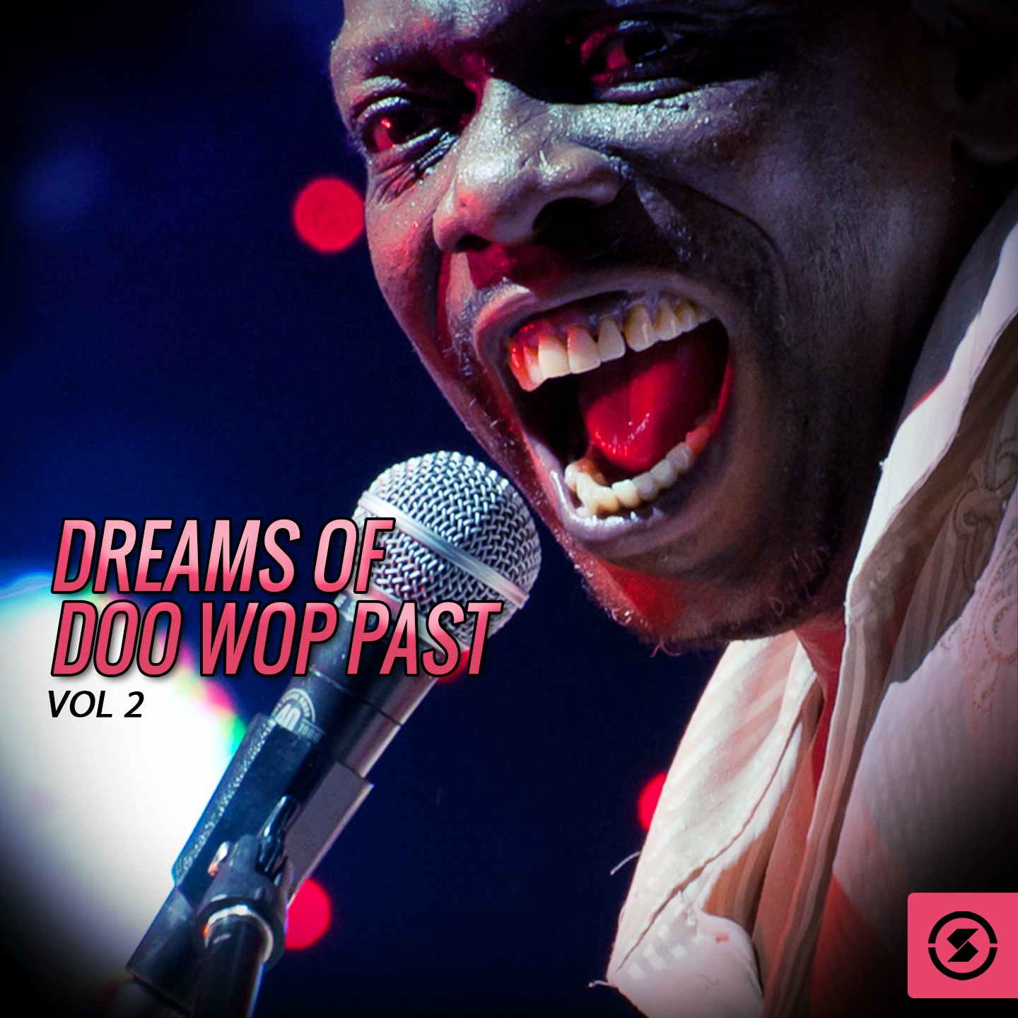 Dreams of Doo Wop Past, Vol. 2