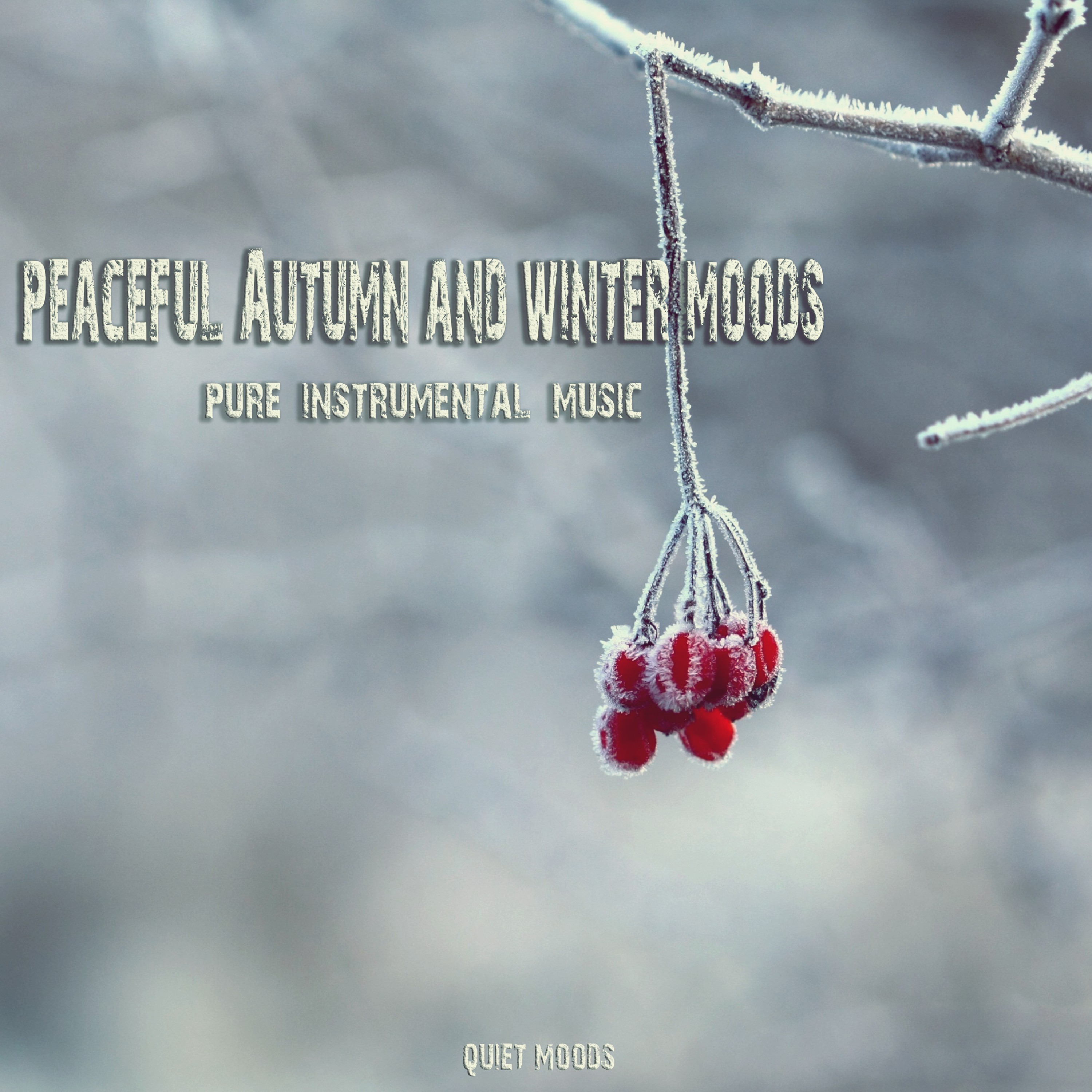 Remember The War Years 1939 - 1945 Vol.1