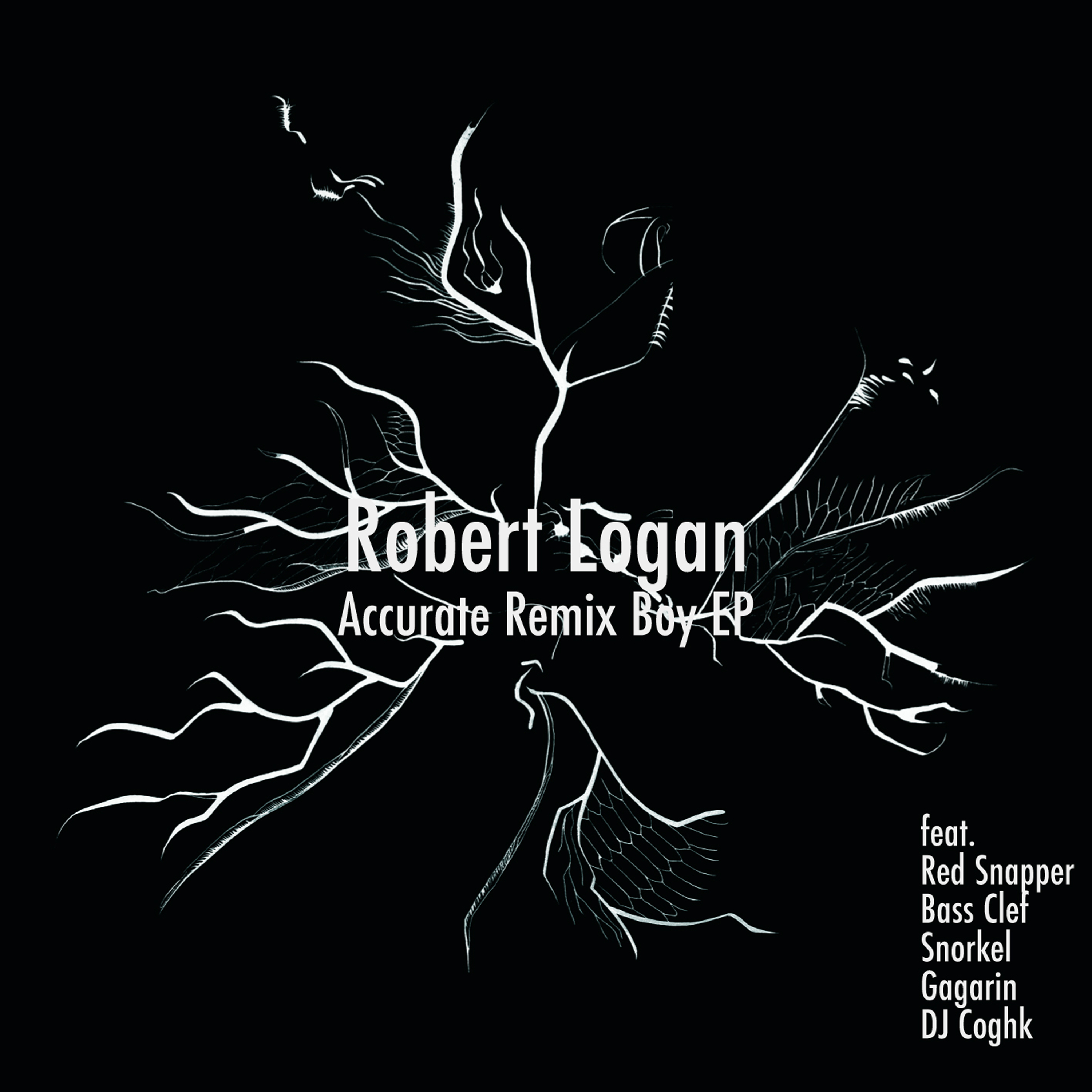 Accurate Remix Boy EP