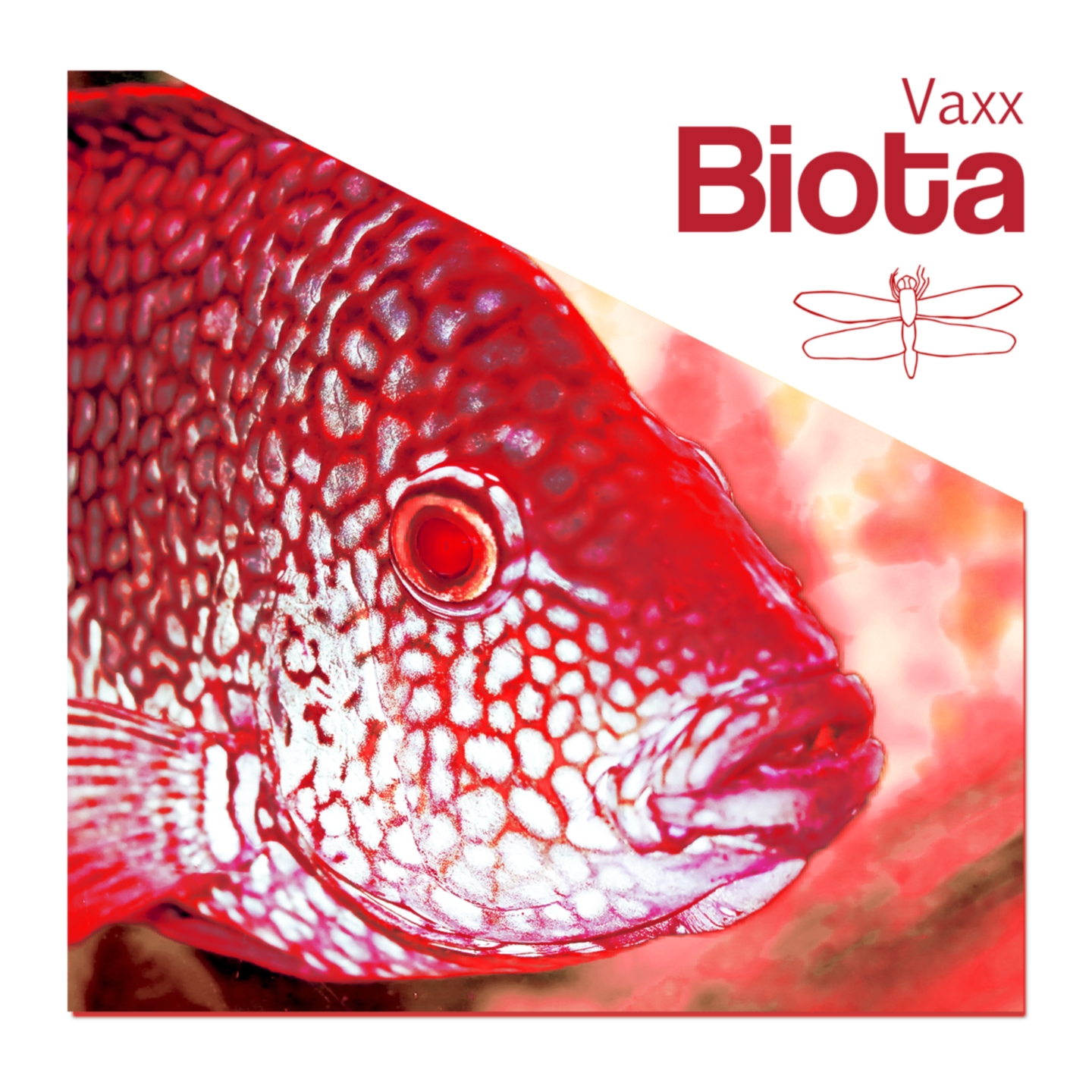 Biota (DJ GrujA Remix)