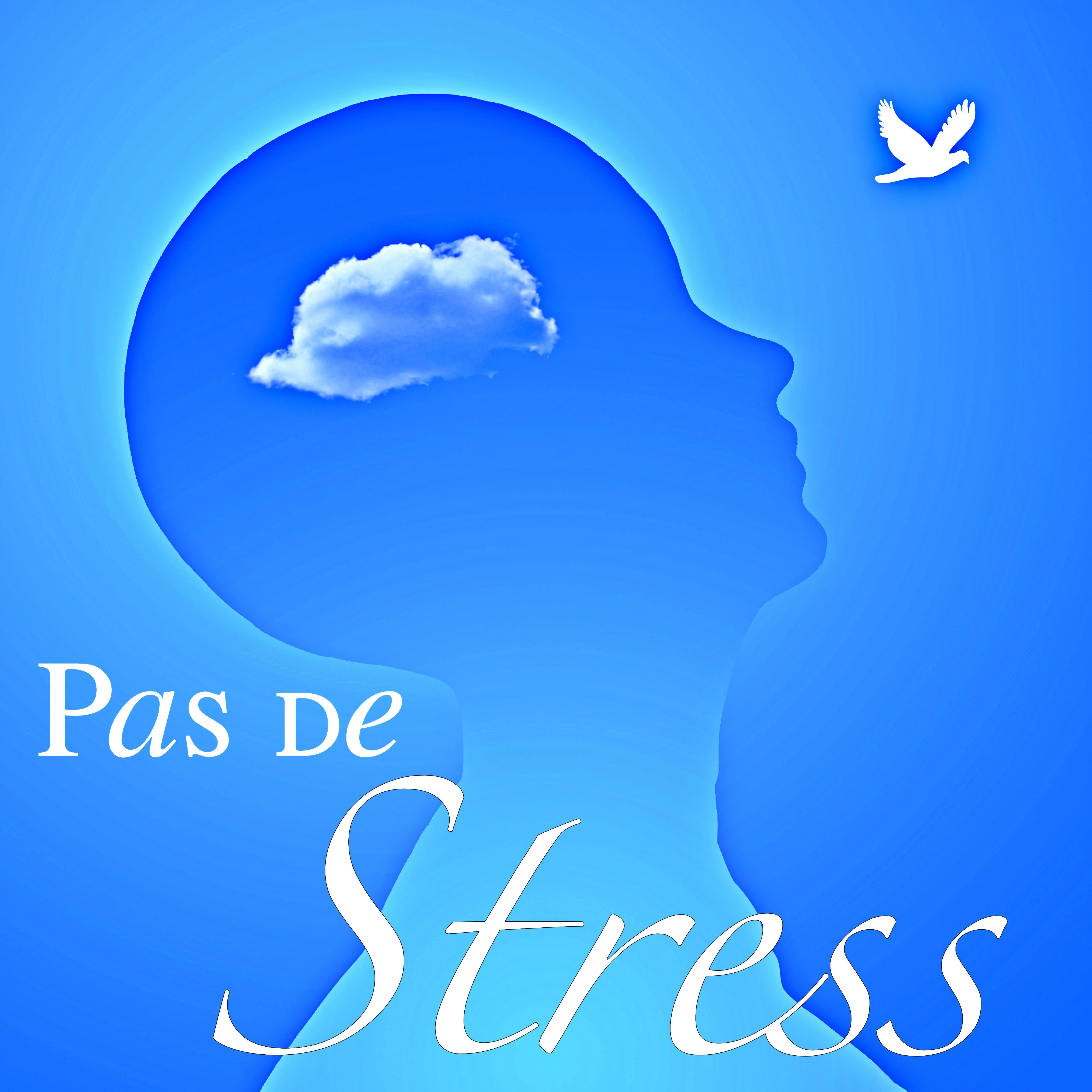 Pas de Stress: Reme de Naturel contre le Stress, Musicothe rapie pour Combattre l' Anxie te et Musique Relaxante pour Vivre Paisiblement
