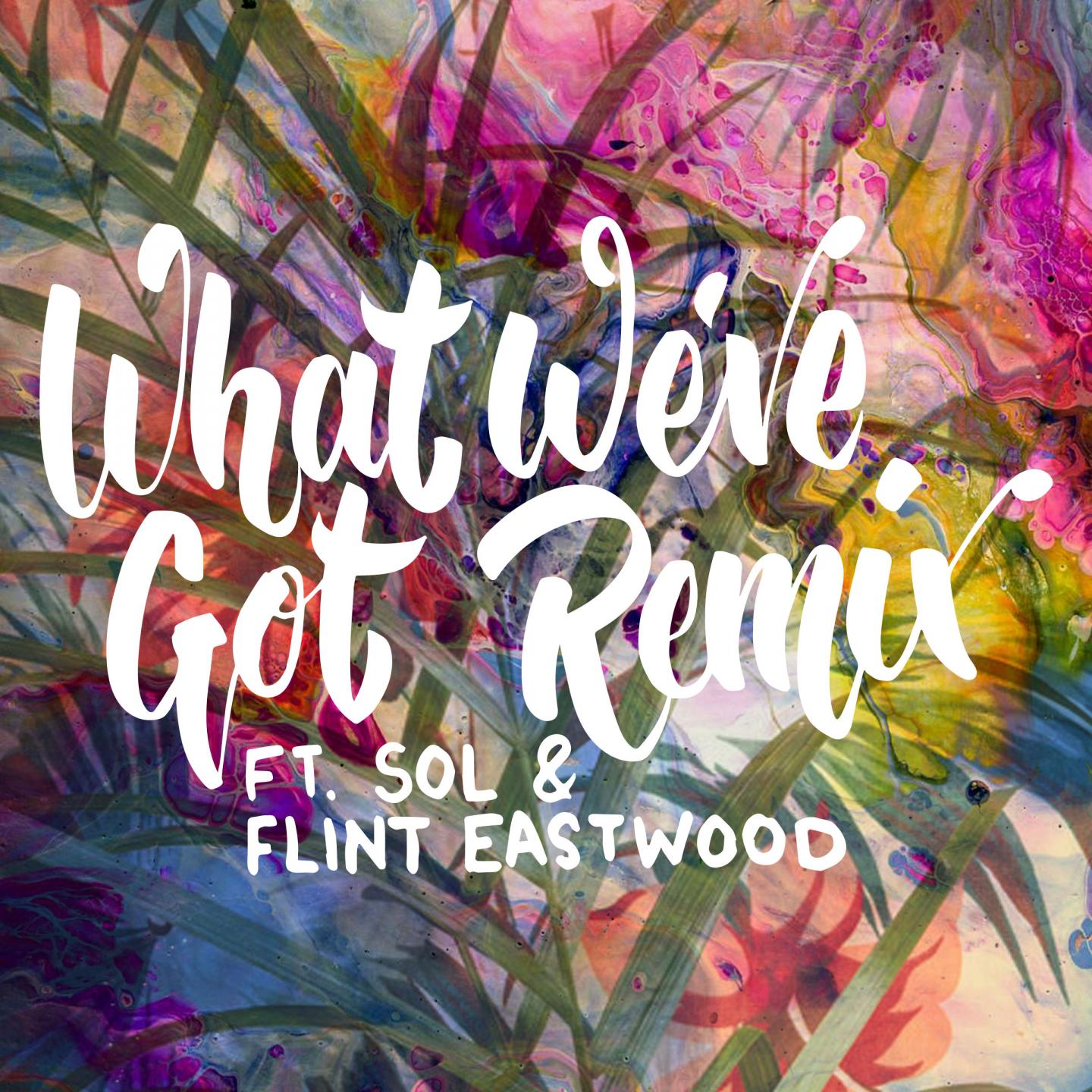 What We've Got (Remix)