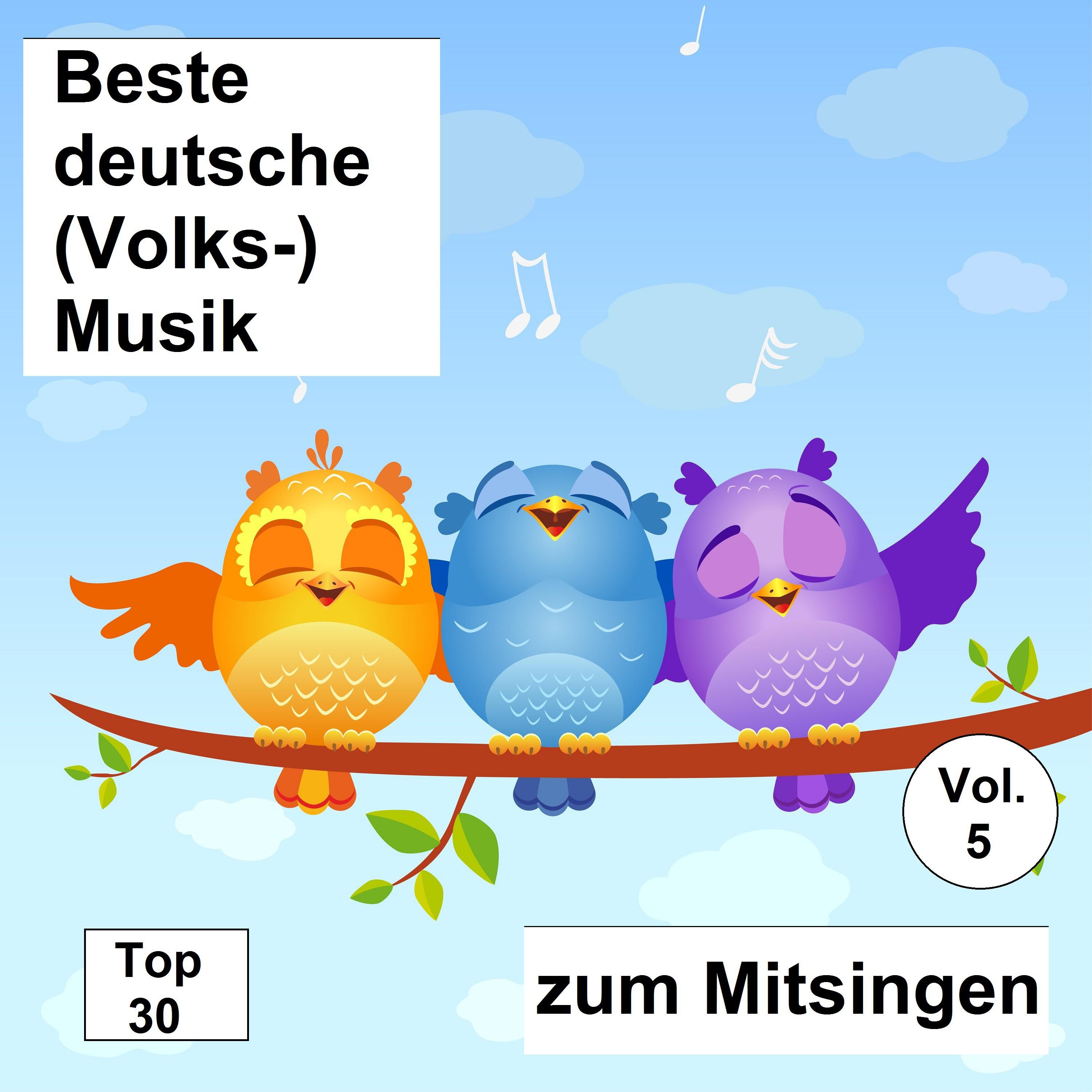 Top 30: Beste deutsche (Volks-)Musik zum Mitsingen, Vol. 5