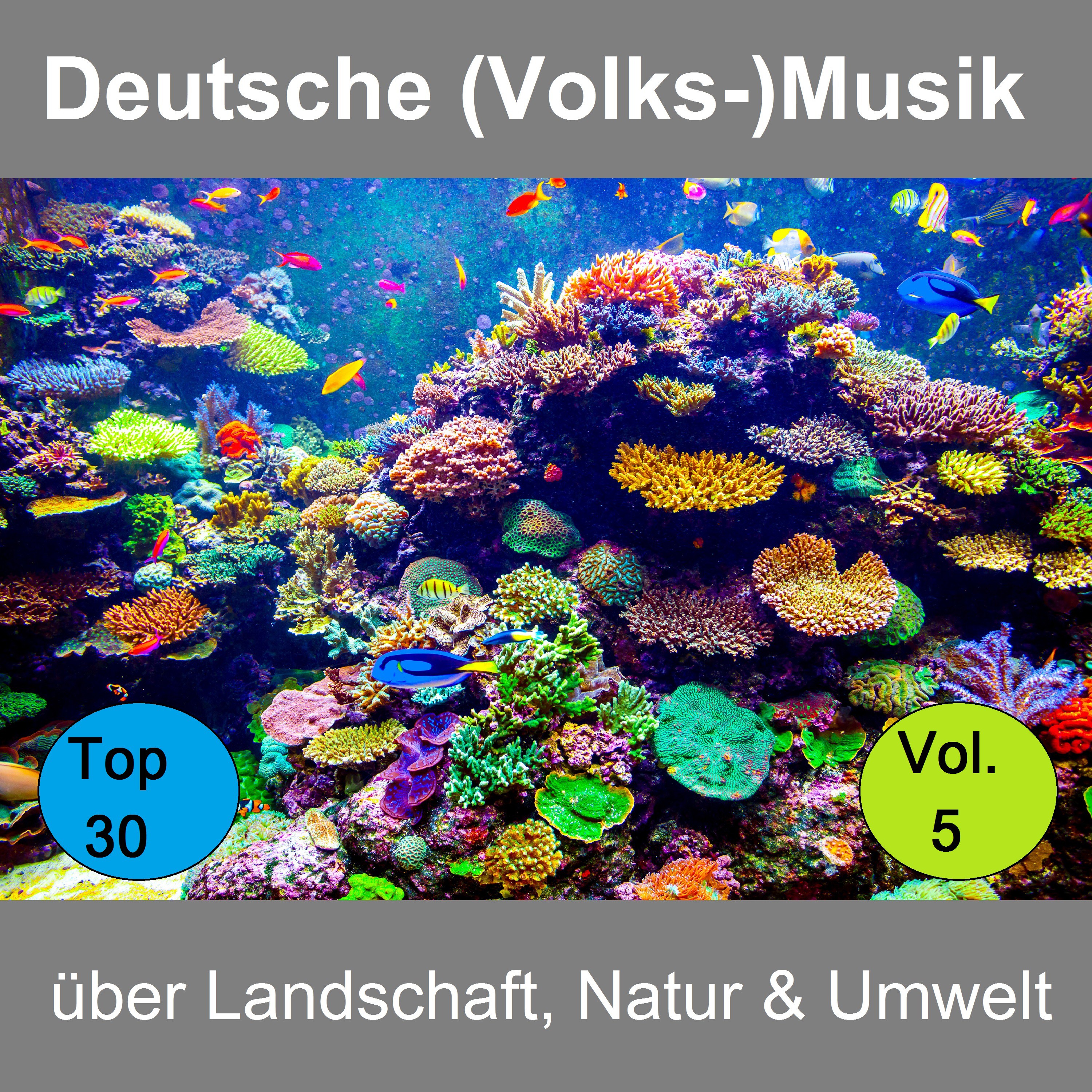 Top 30: Deutsche Volks Musik ü ber Landschaft, Natur  Umwelt, Vol. 5
