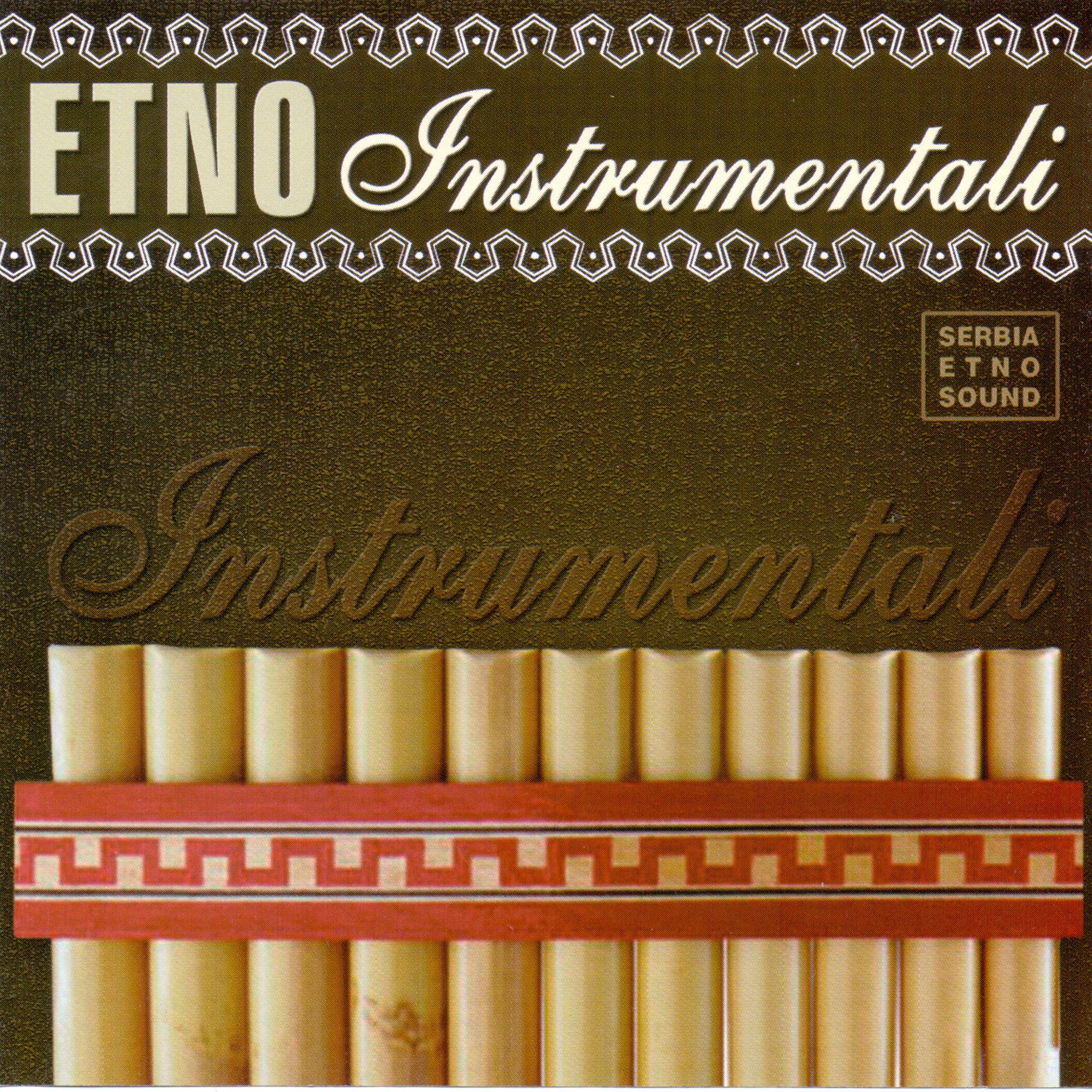 Etno instrumentali