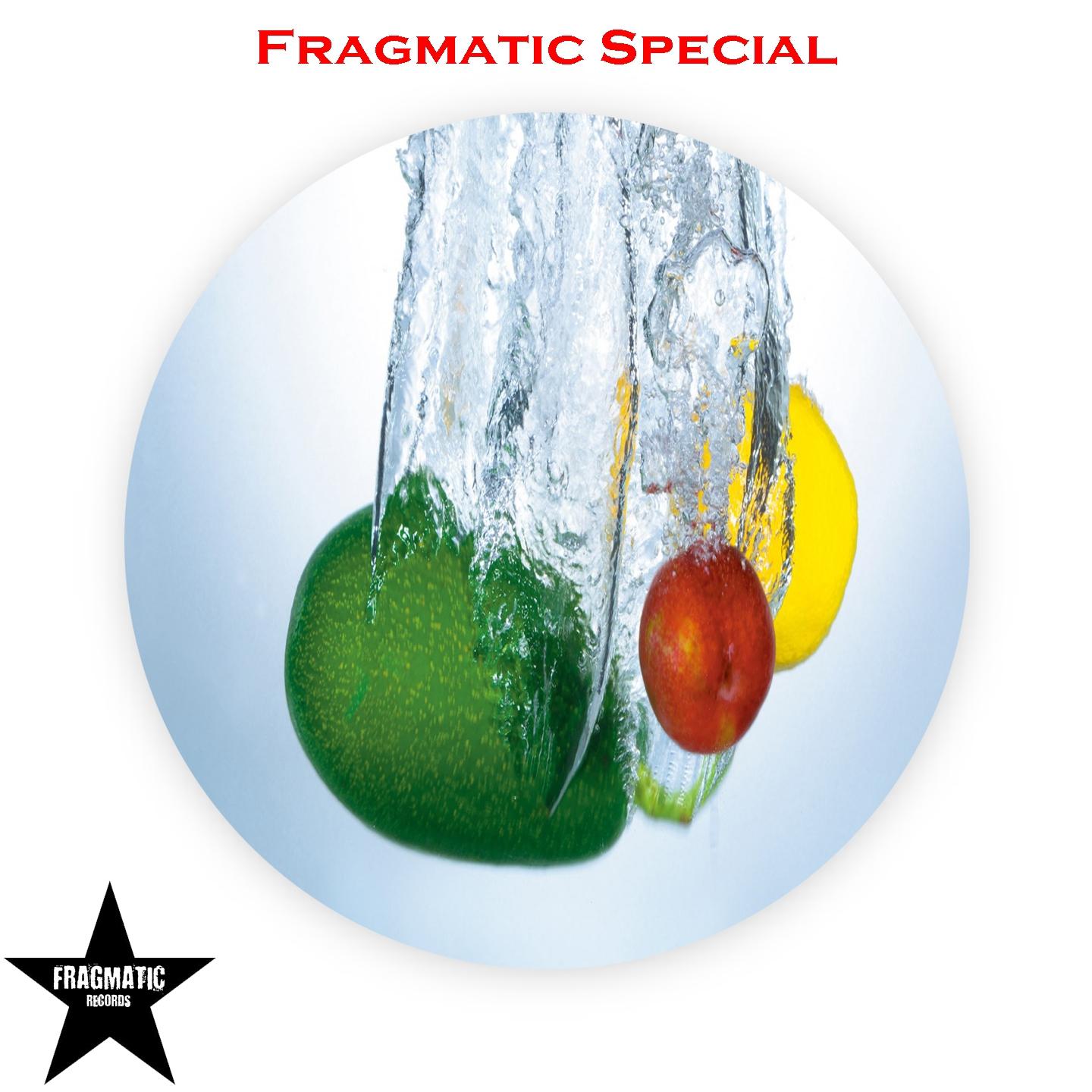 Fragmatic Special, Vol.1