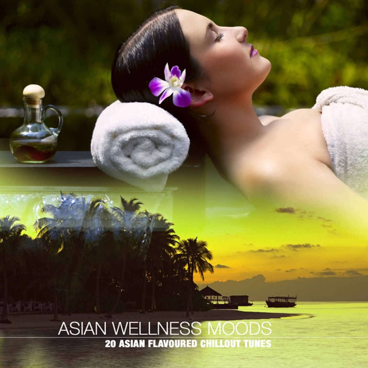 Asian Wellness Moods (20 Asian Flavoured Chillout Tunes)