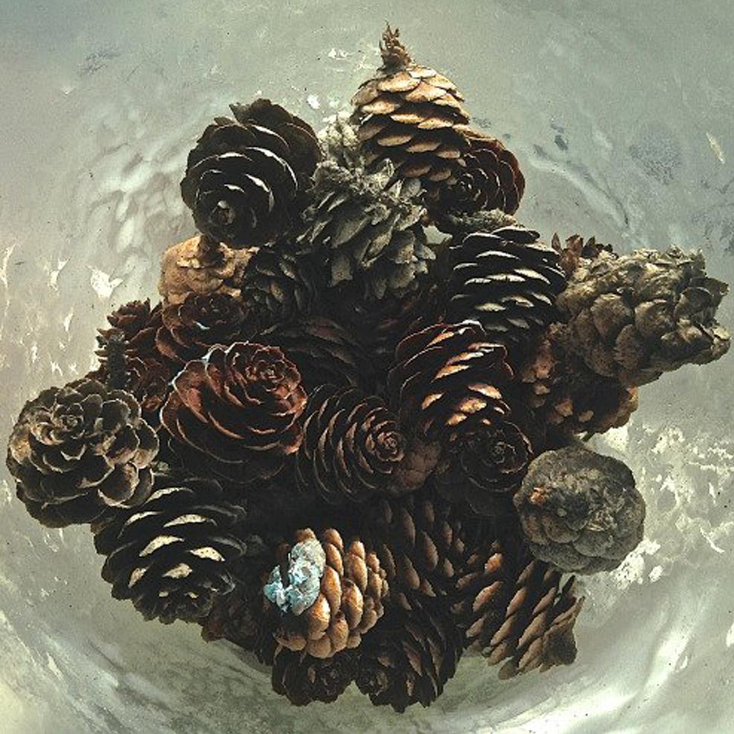 Sense of Survival as an Ever Evolving Alien