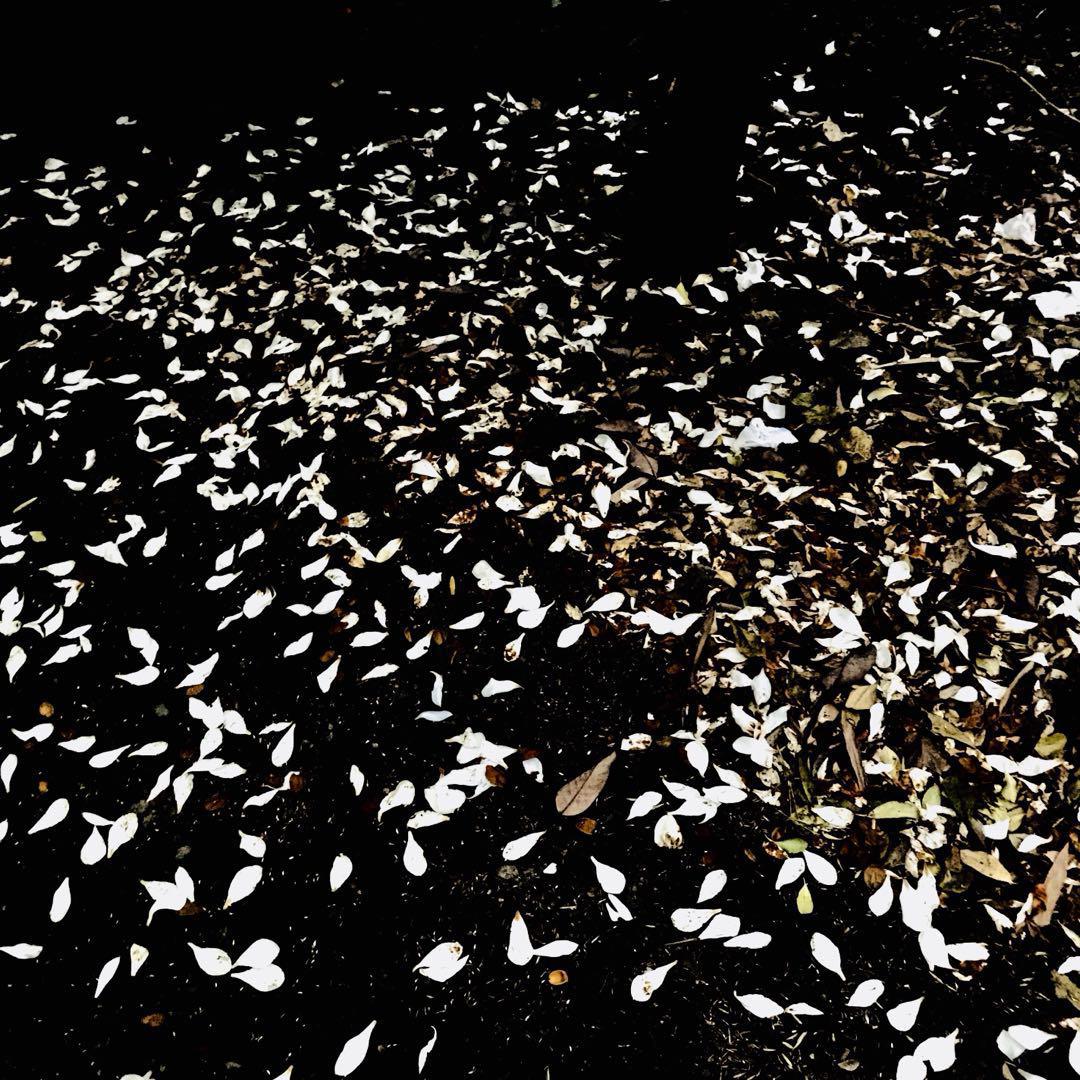 zai yi ge mei you tai yang de bang wan