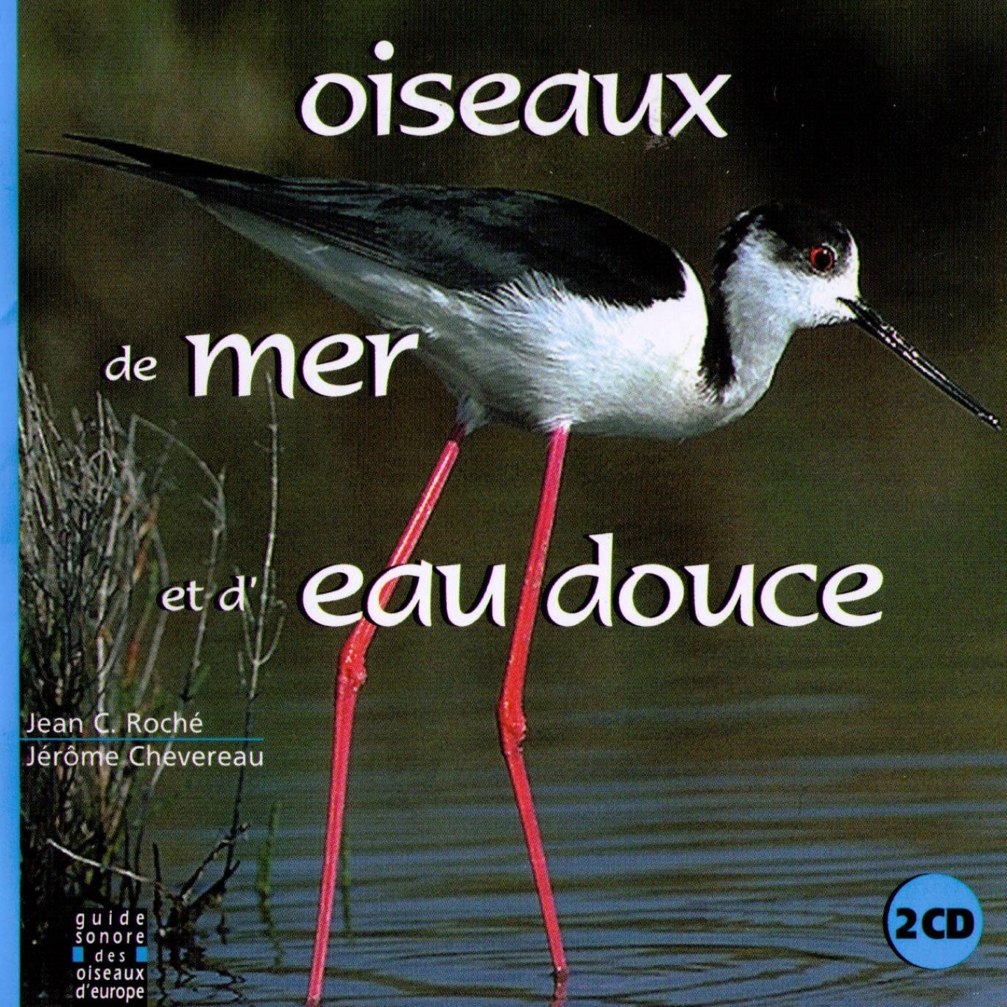 Foulque marcoule (Coot)