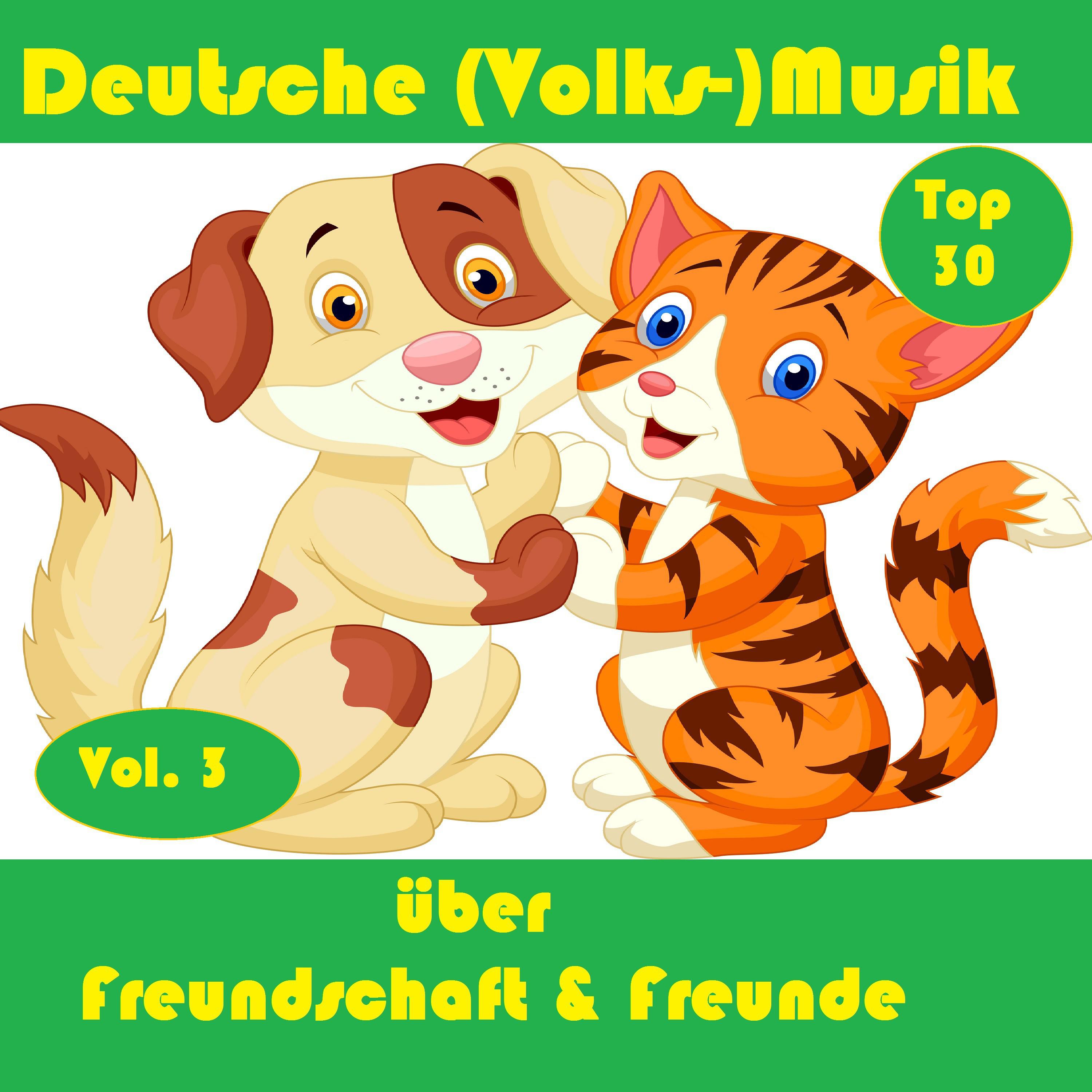 Top 30: Deutsche Volks Musik ü ber Freundschaft  Freunde, Vol. 3