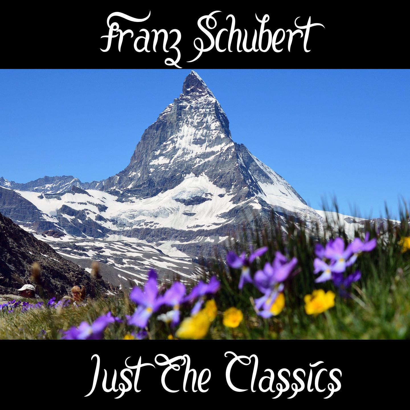 Franz Schubert: Just The Classics