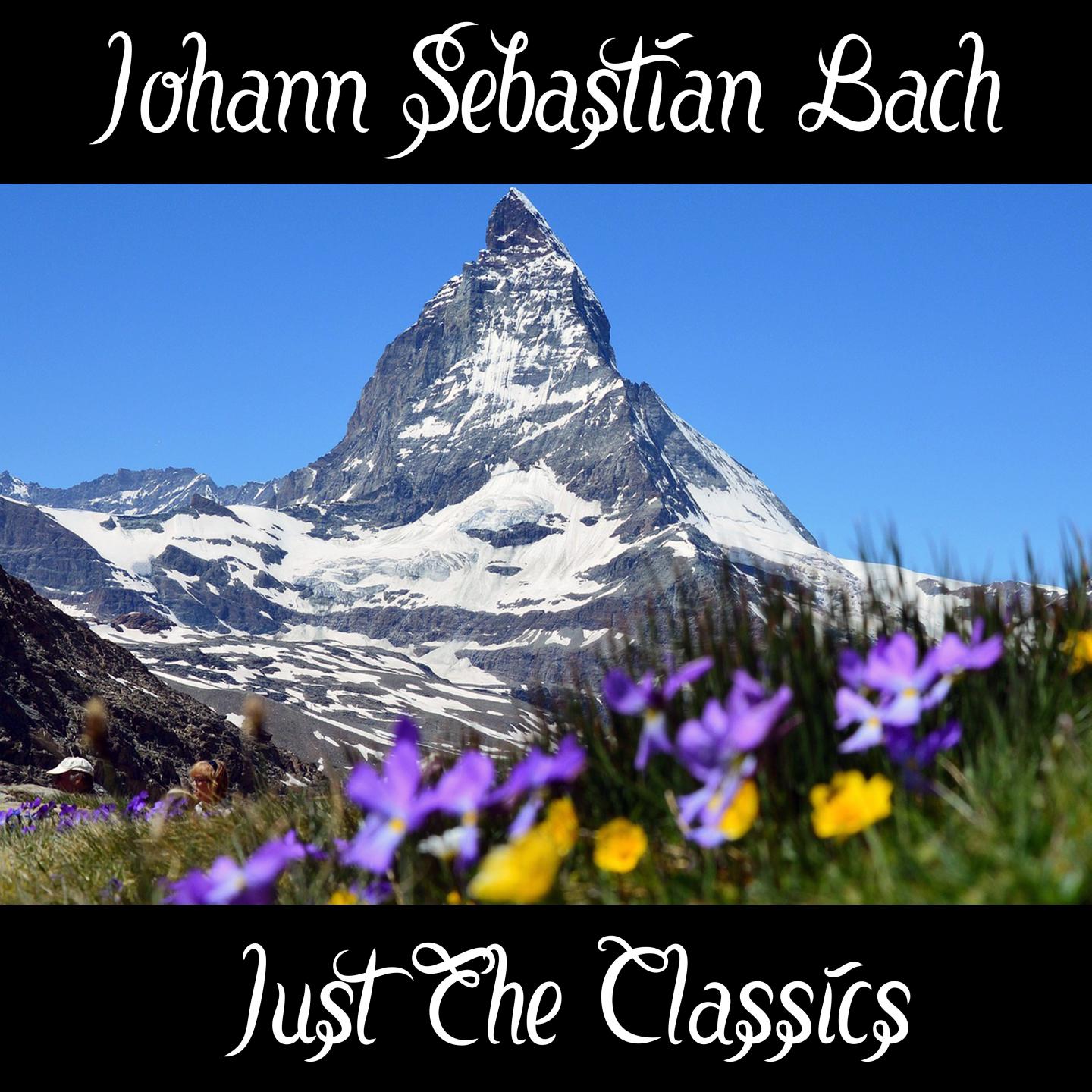 Johann Sebastian Bach: Just The Classics