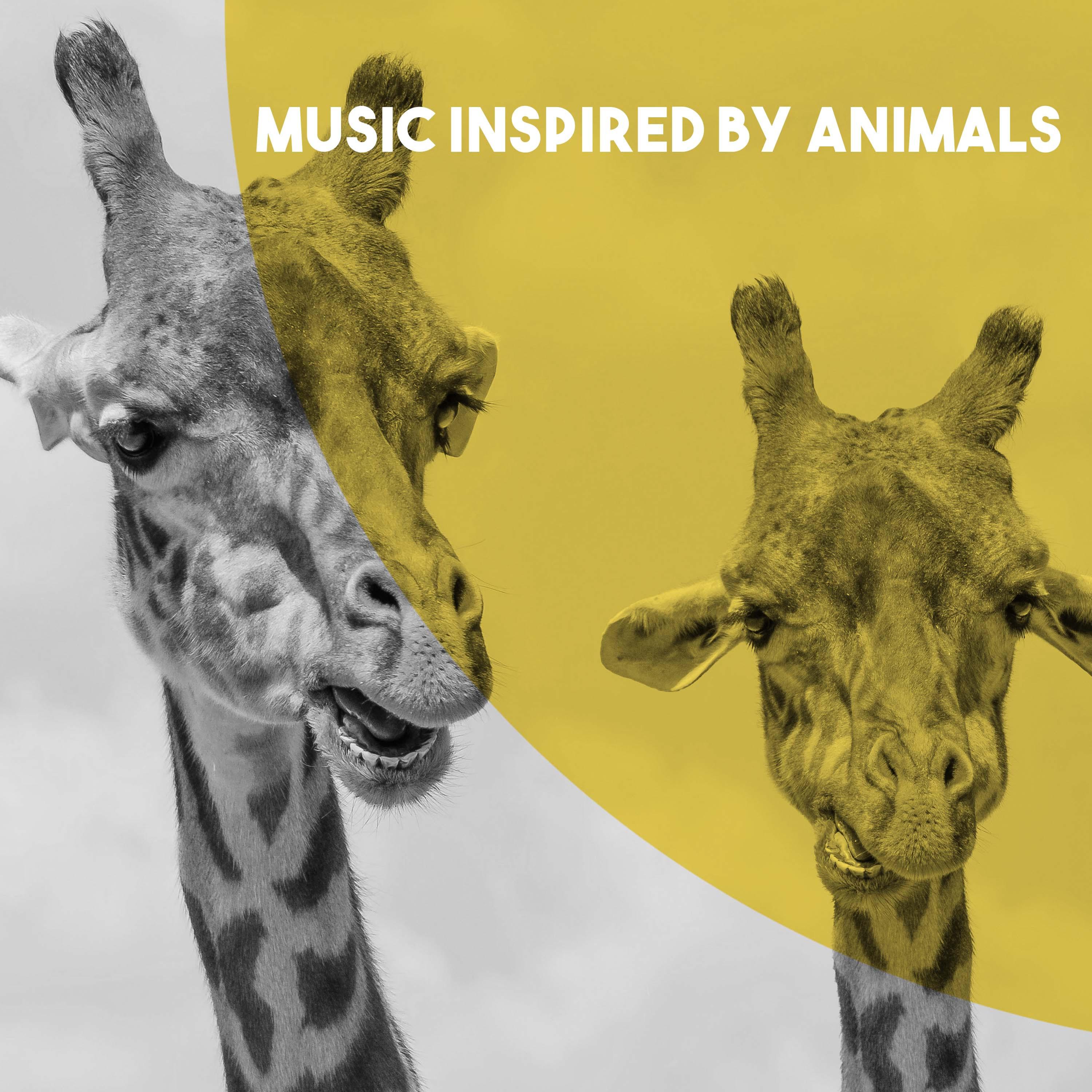 The Carnival of the Animals: XI. Pianists