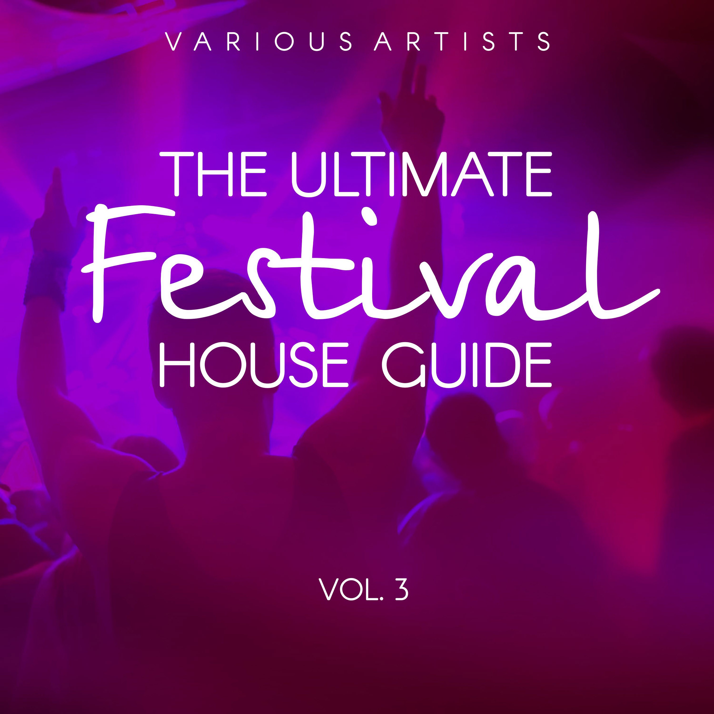 Zombi Ninja (Original Mix)