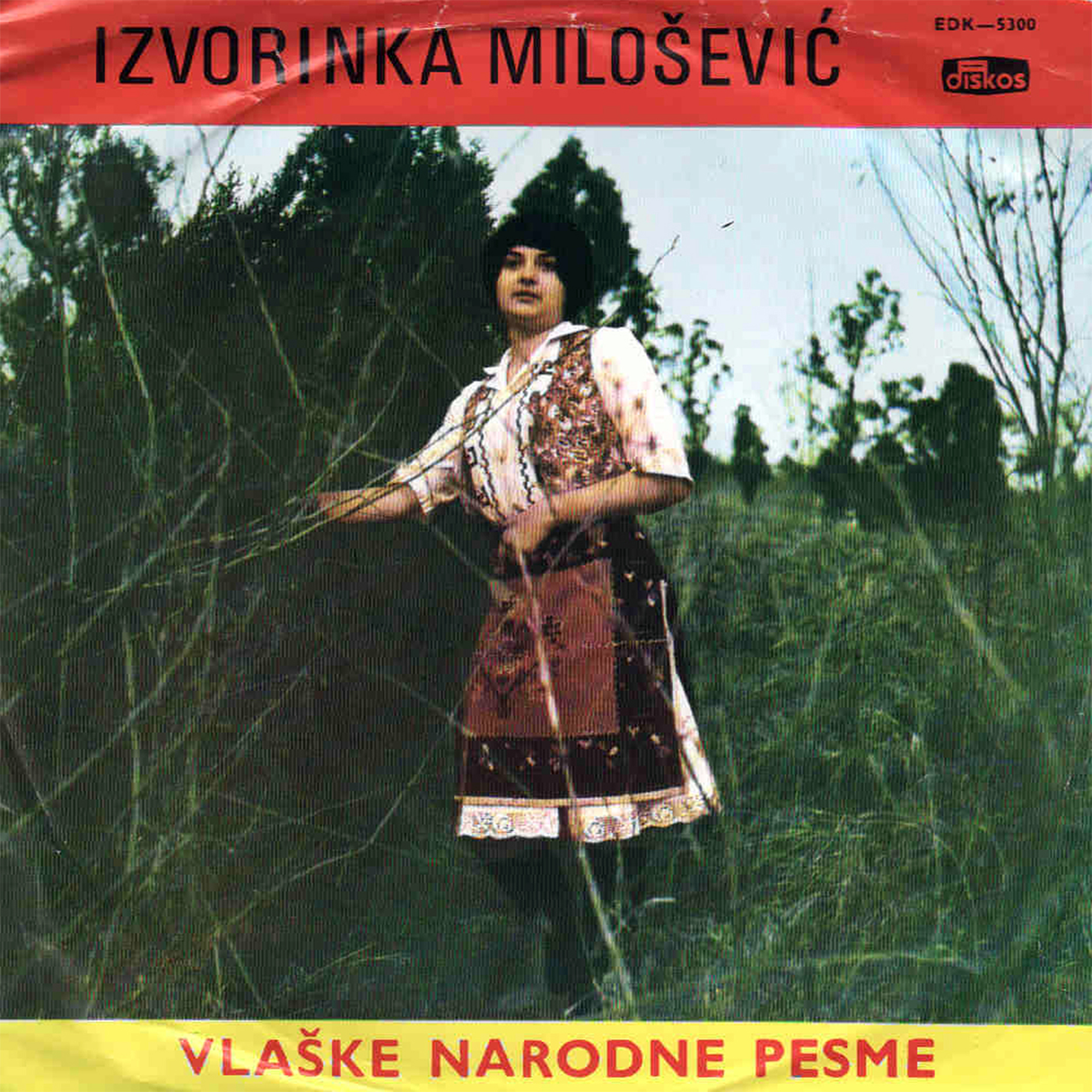 Kukuruz sa listom koji raste navise