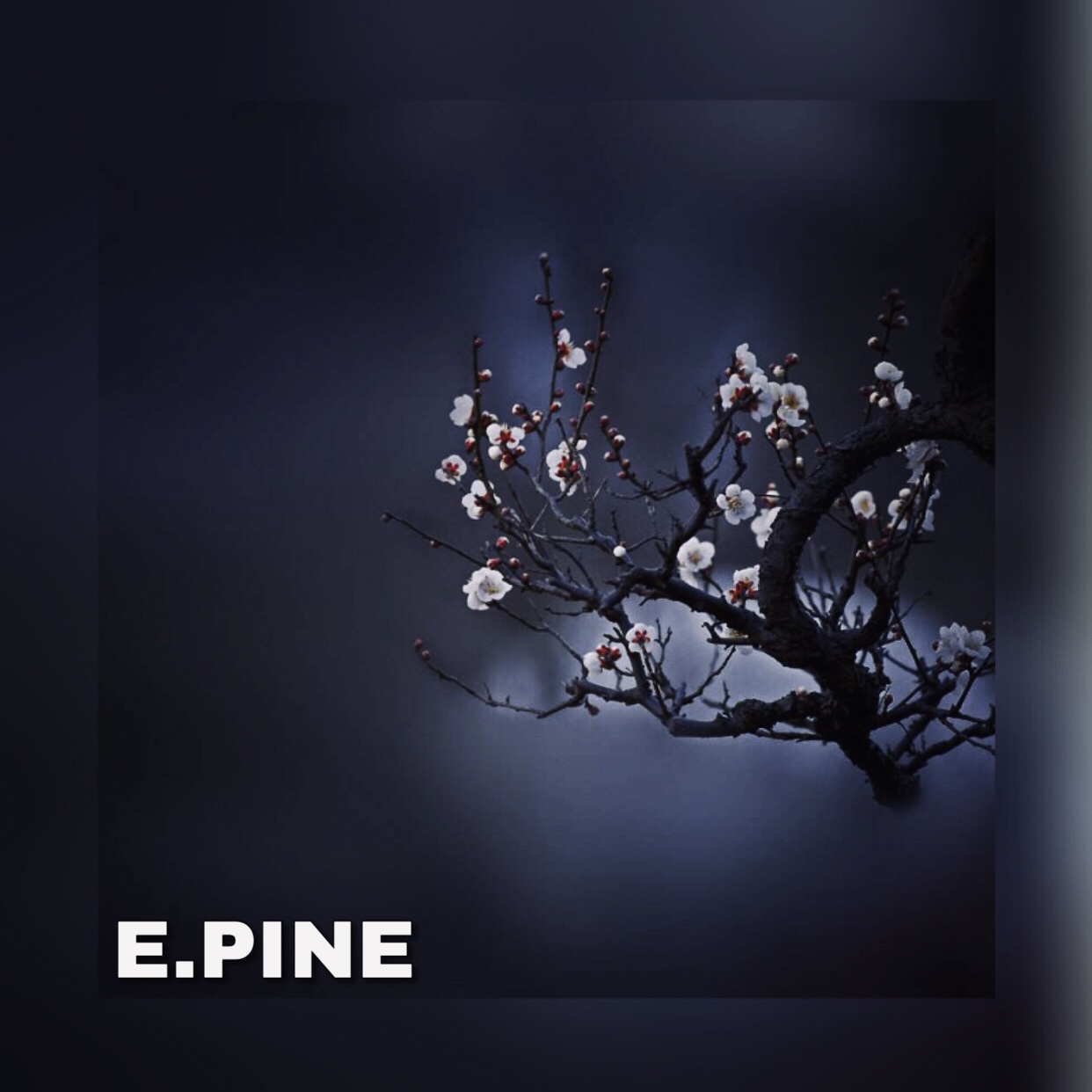 yi jian mei Chinese type beat