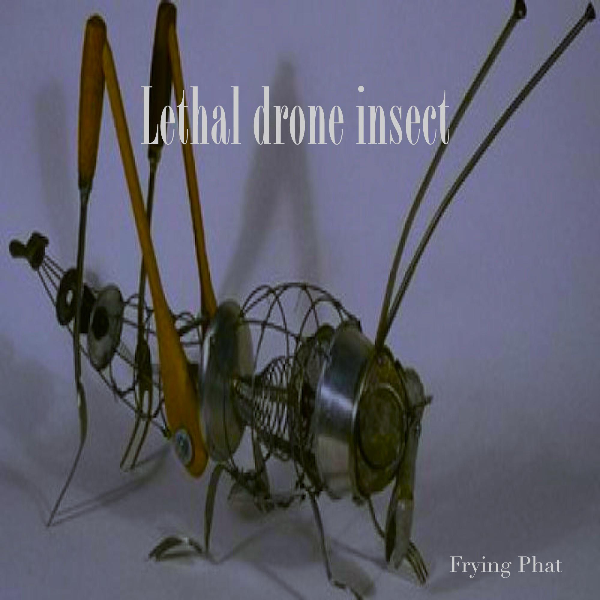 Drones (original mix)