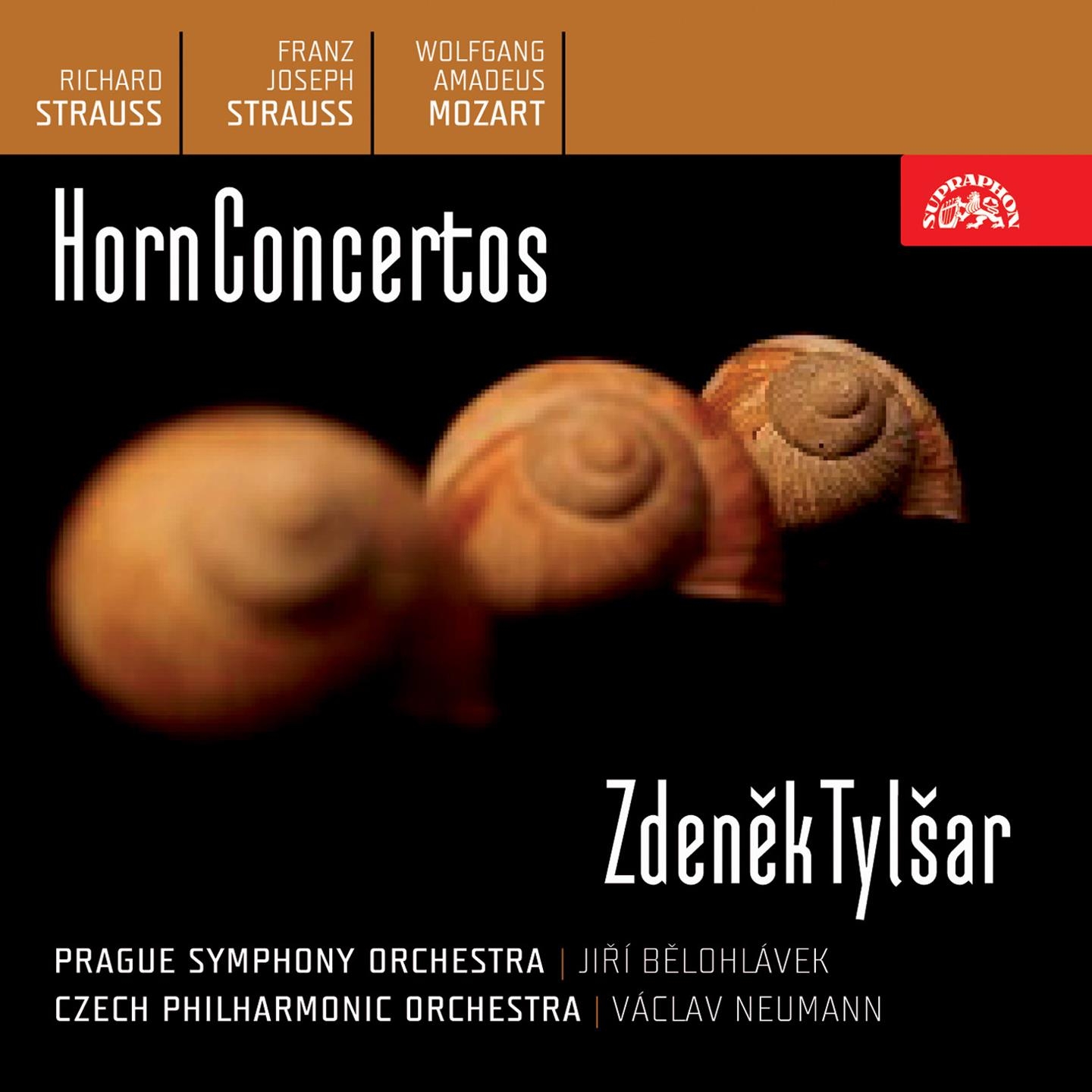 Concerto for French Horn and Orchestra in C-Sharp Minor, Op. 8, .: I. Allegro moderato