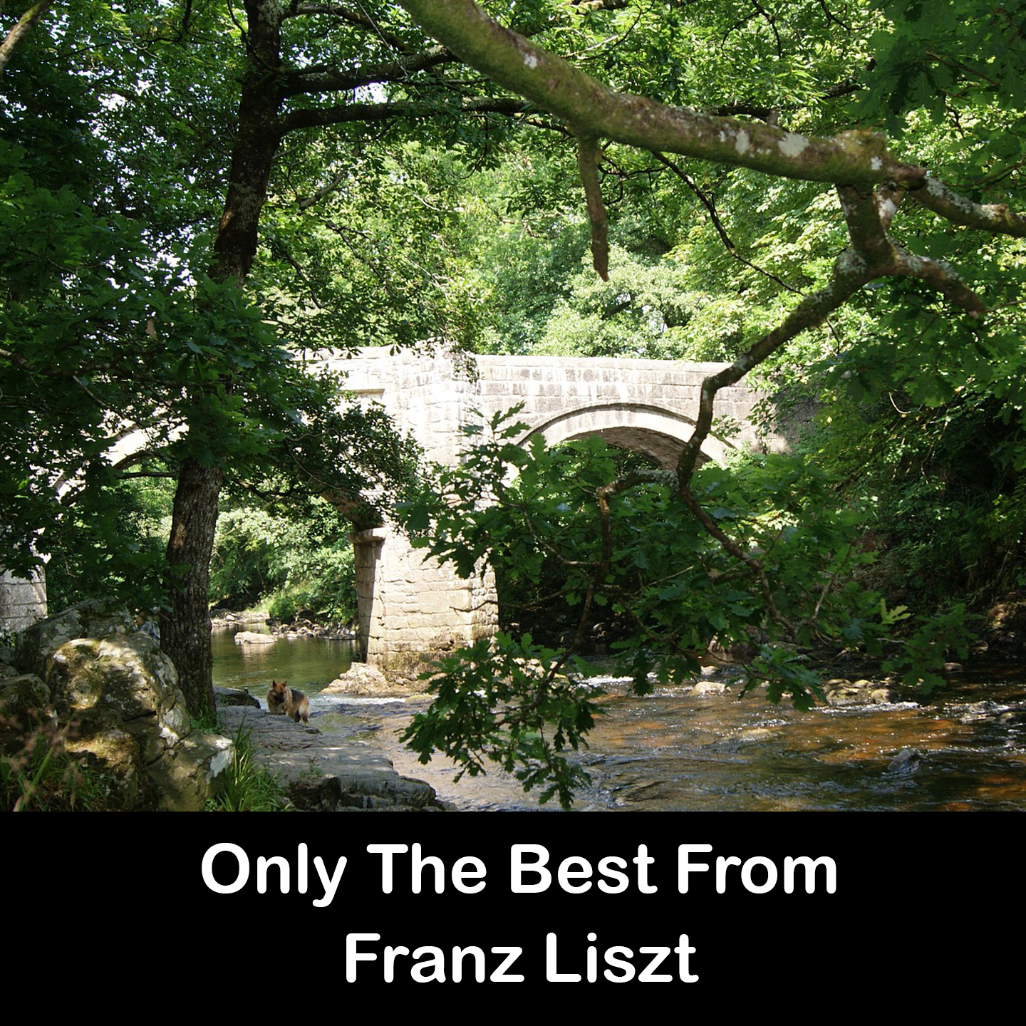 Only The Best From Franz Liszt