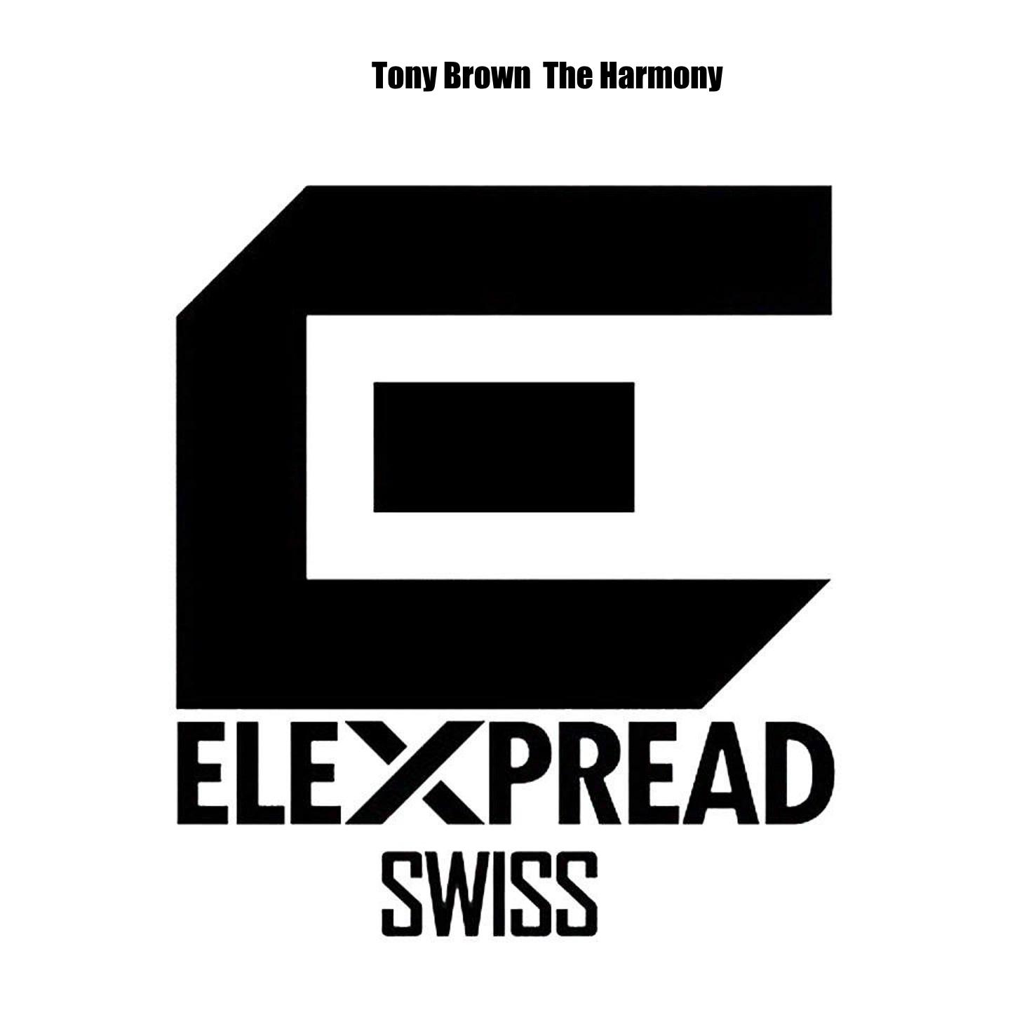 The Harmony (Orginal Mix)