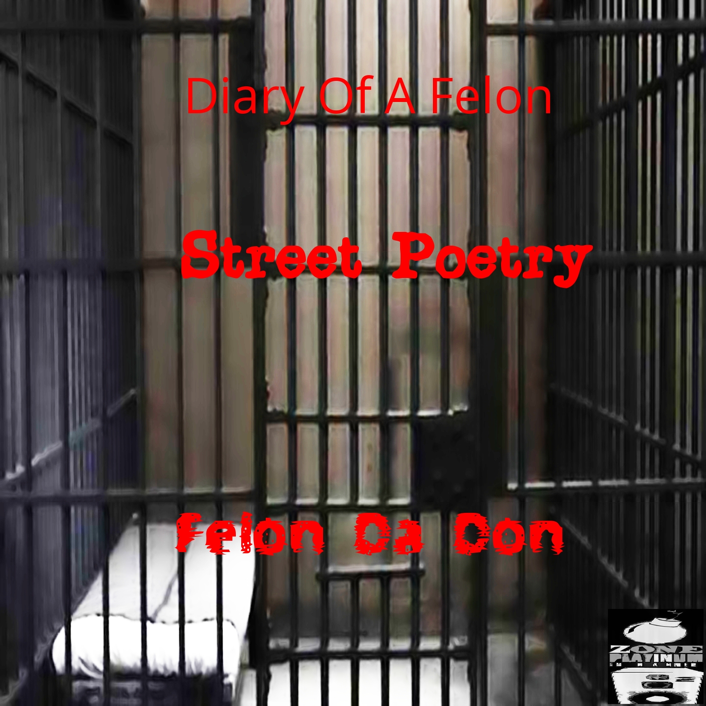 Diary of a Felon Street Poetry