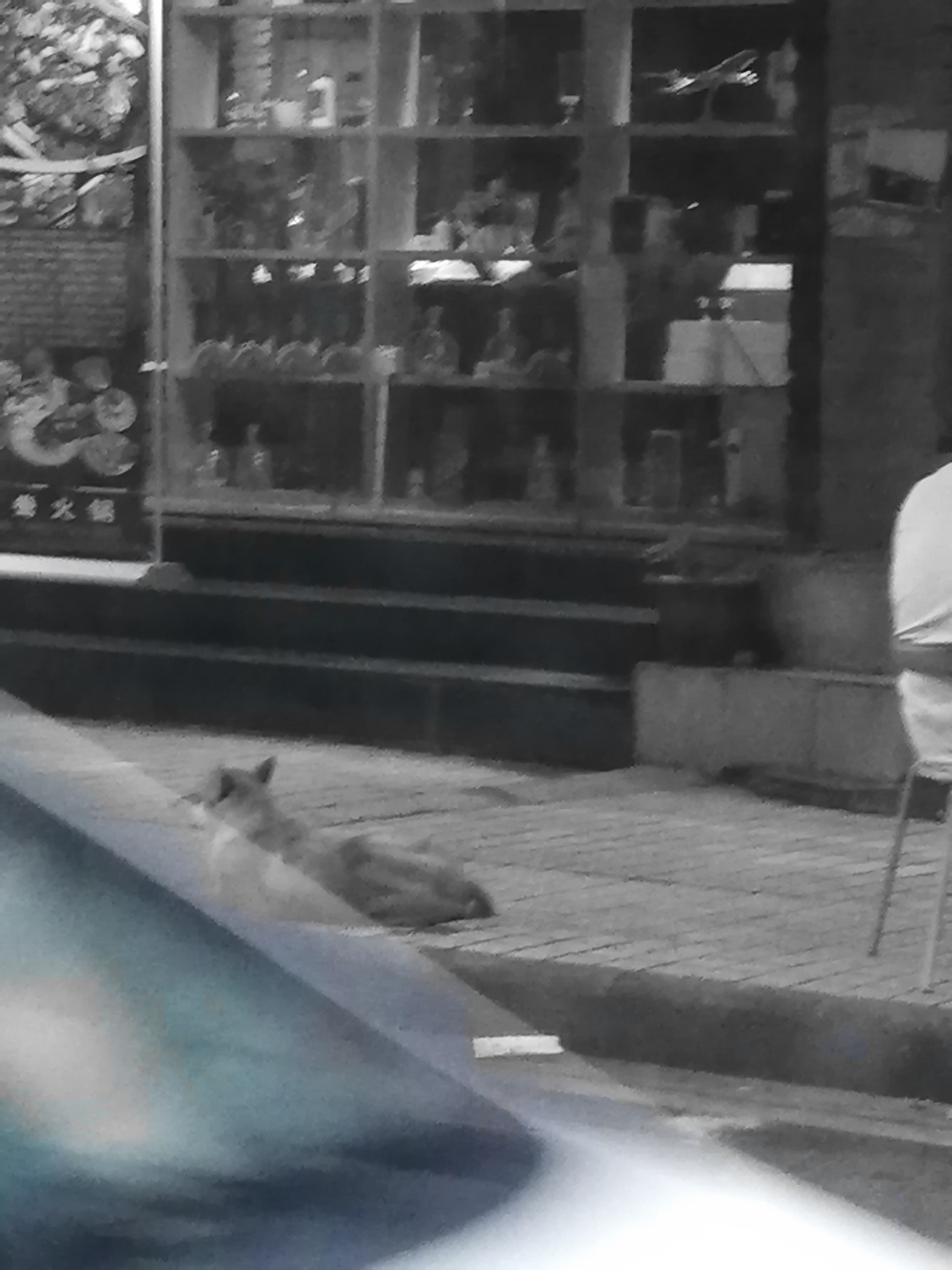 Karaoke Carpool Presents Phillip Phillips (Karaoke Version)