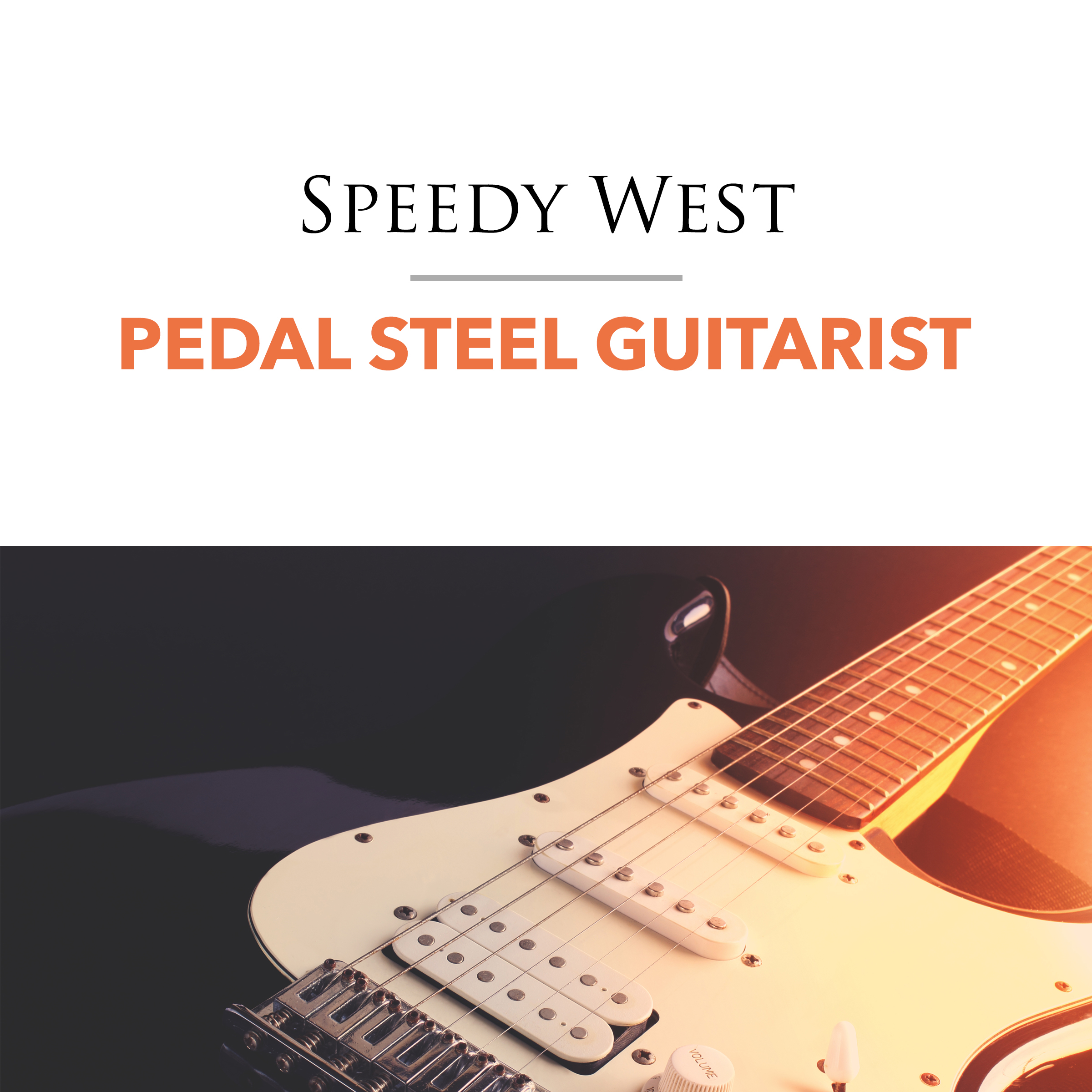 Pedal Steel Guitarist