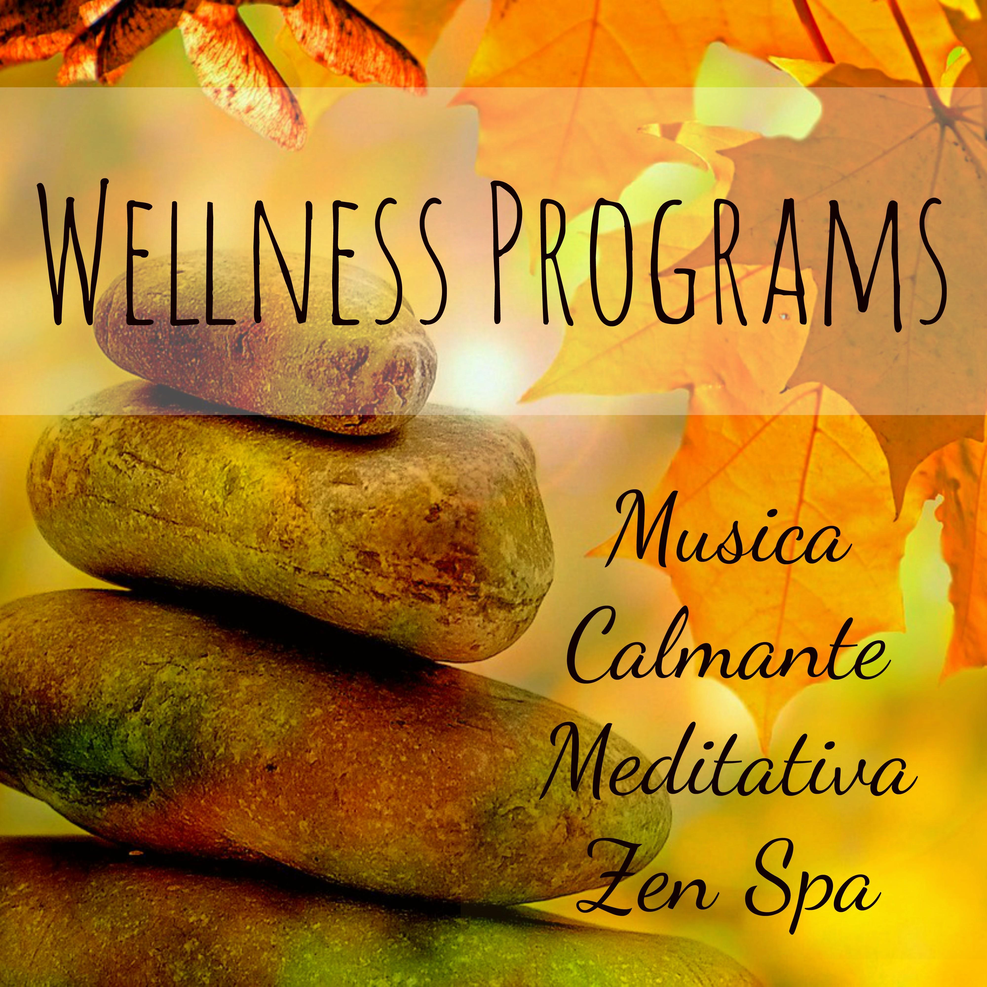 Wellness Programs