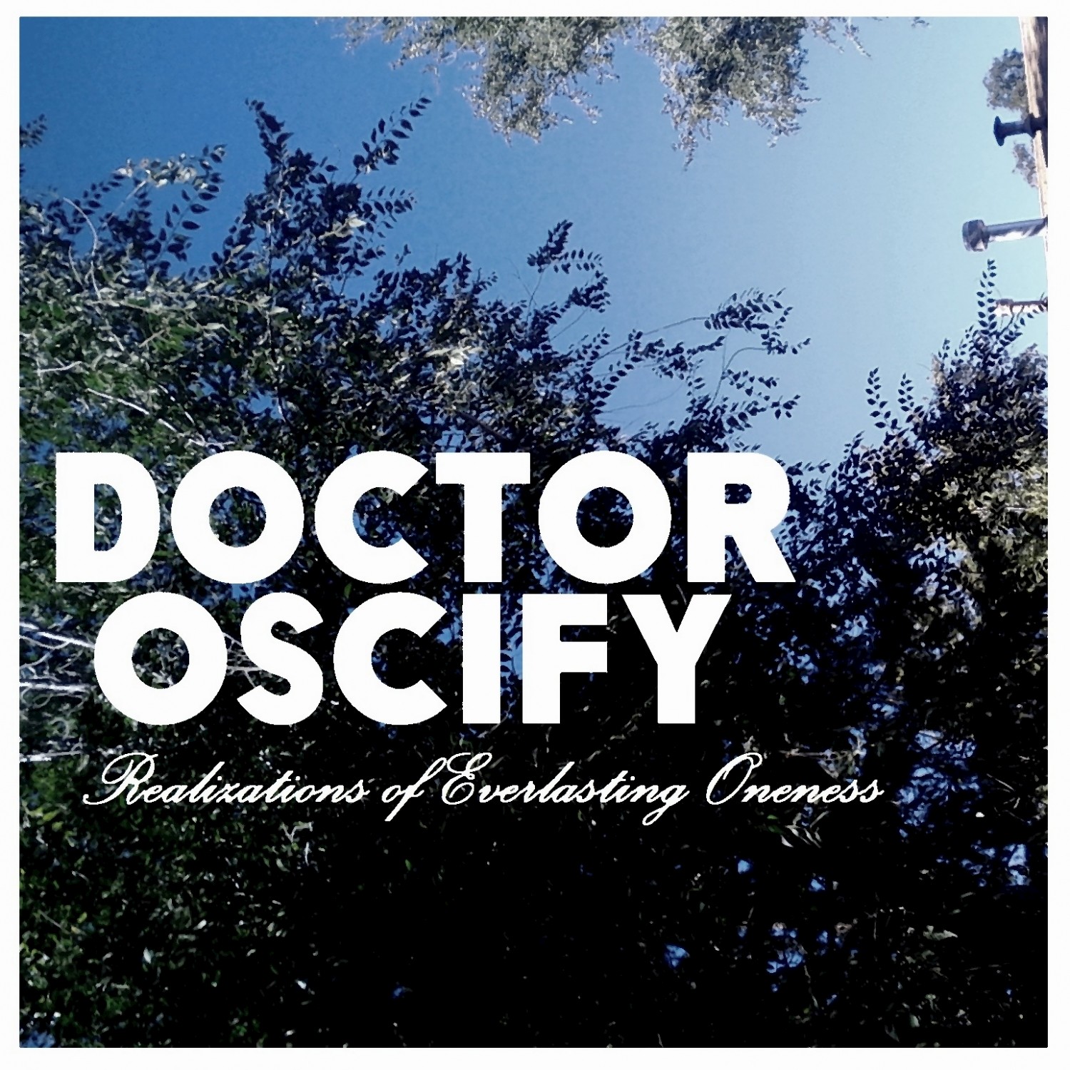 Realizations of Everlasting Oneness (feat. D - Fonic, Dominic Deadbeat)