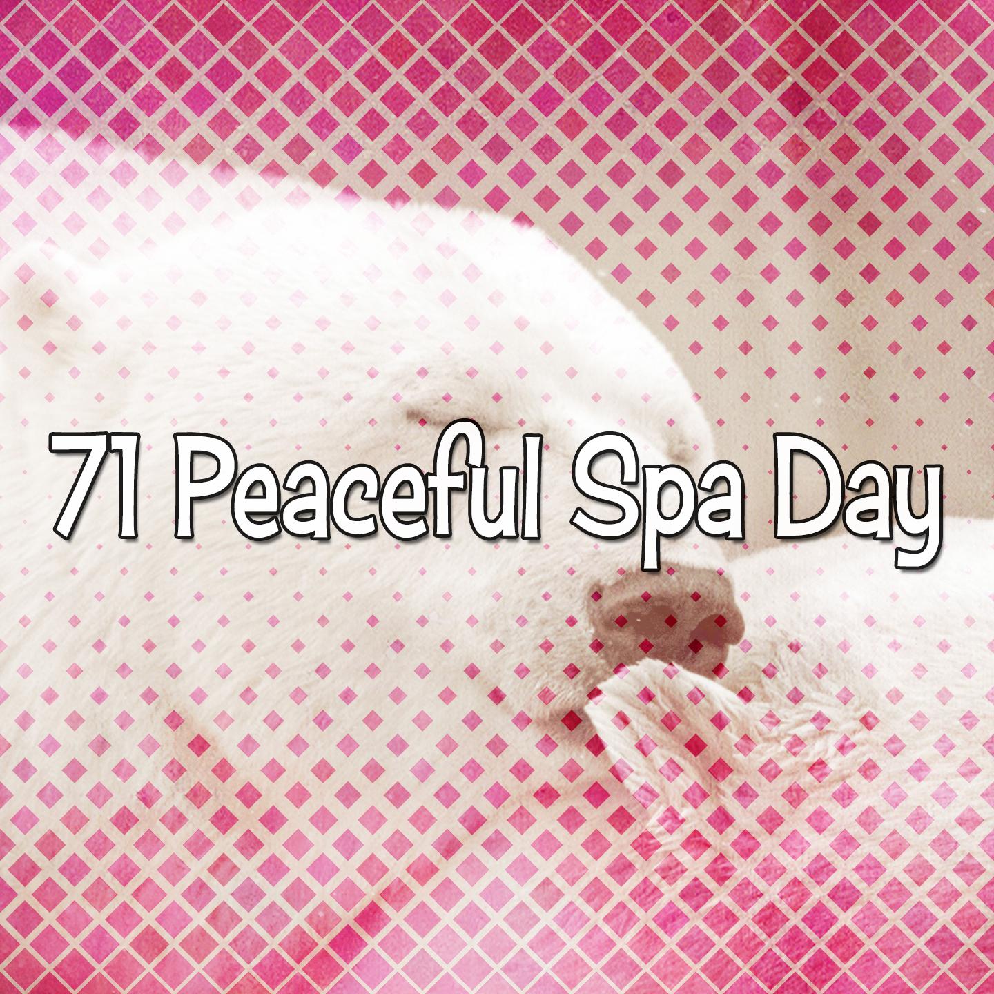 71 Peaceful Spa Day