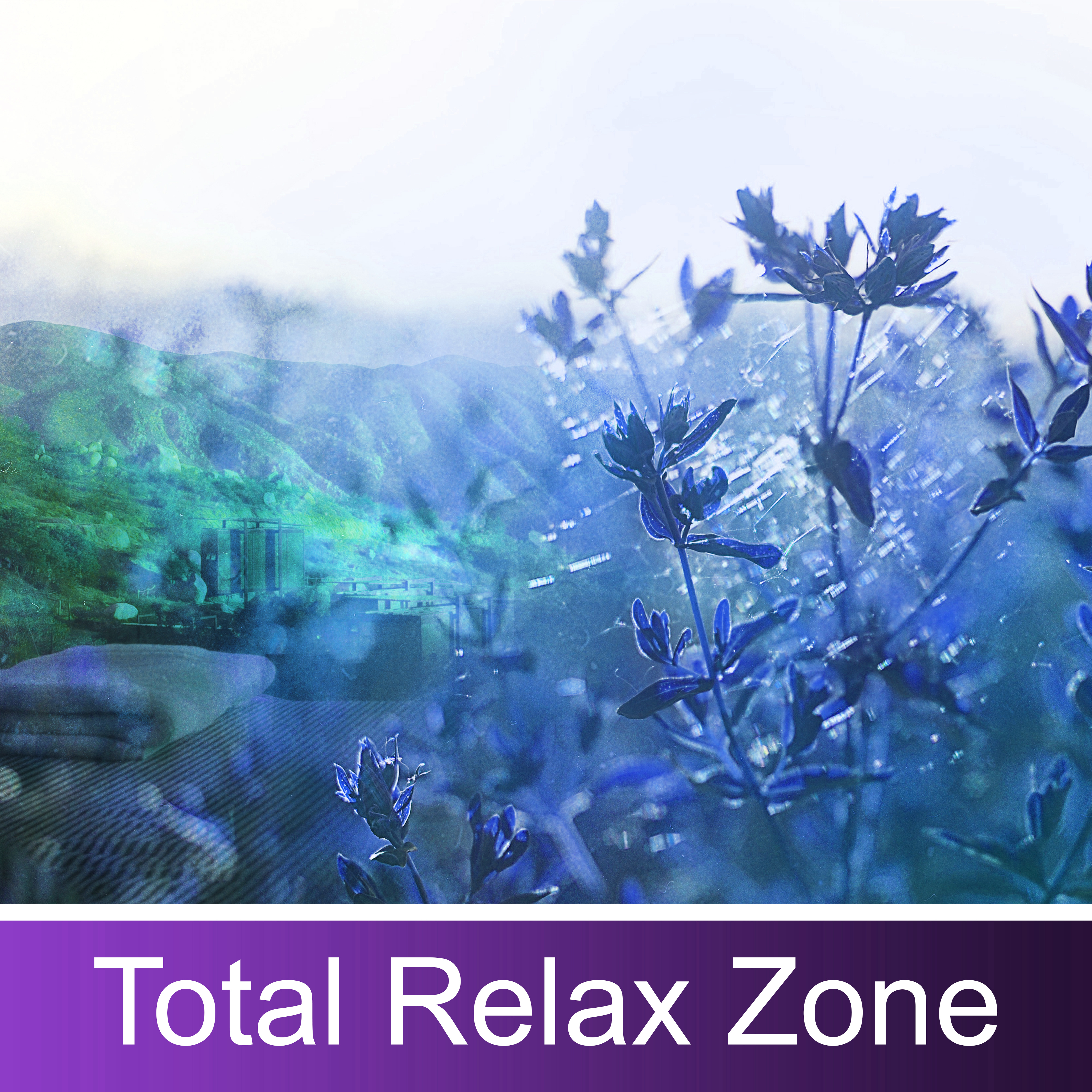 Total Relax Zone  Relaxing Music, Sounds of Nature, Rest, Stress Relief, Reduce Anxiety, Serenity New Age