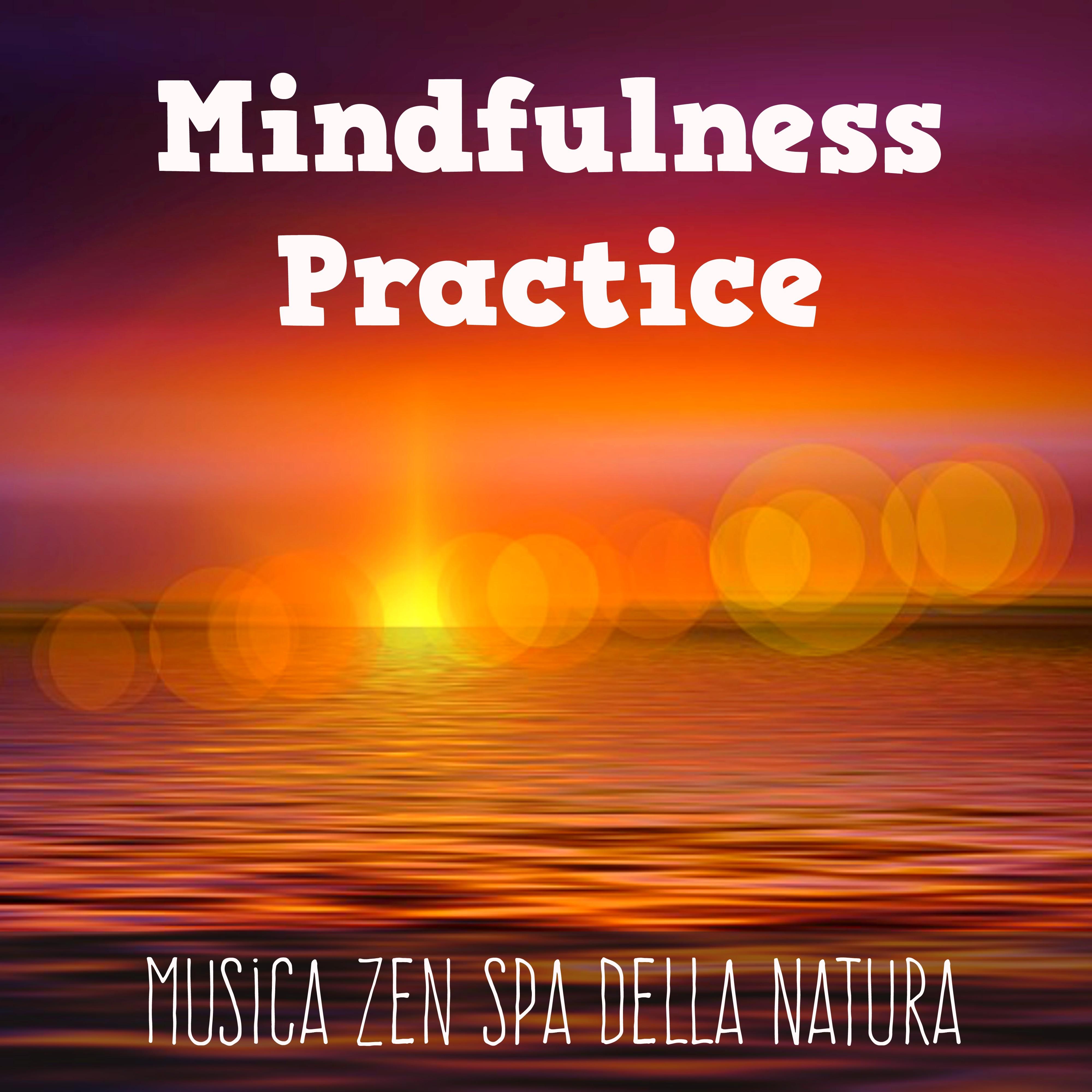 Mindfulness Practice - Musica Zen Spa della Natura per Sonno Profondo Benessere Psicofisico Calma Interiore con Suoni Rilassanti New Age Spirituali