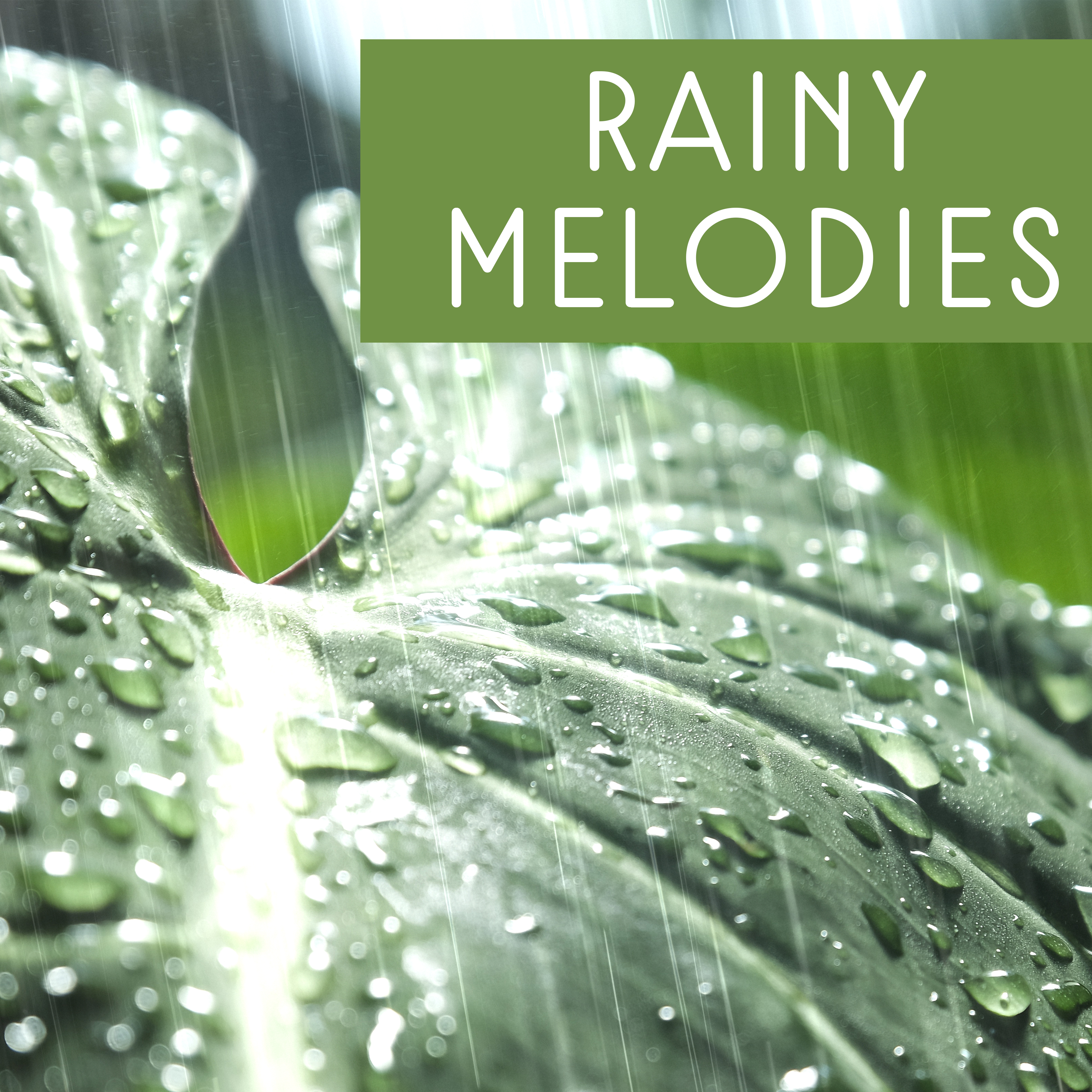 Rainy Melodies  Sounds of Nature, Rainy Songs, Good Mood, New Age, Relaxing Music