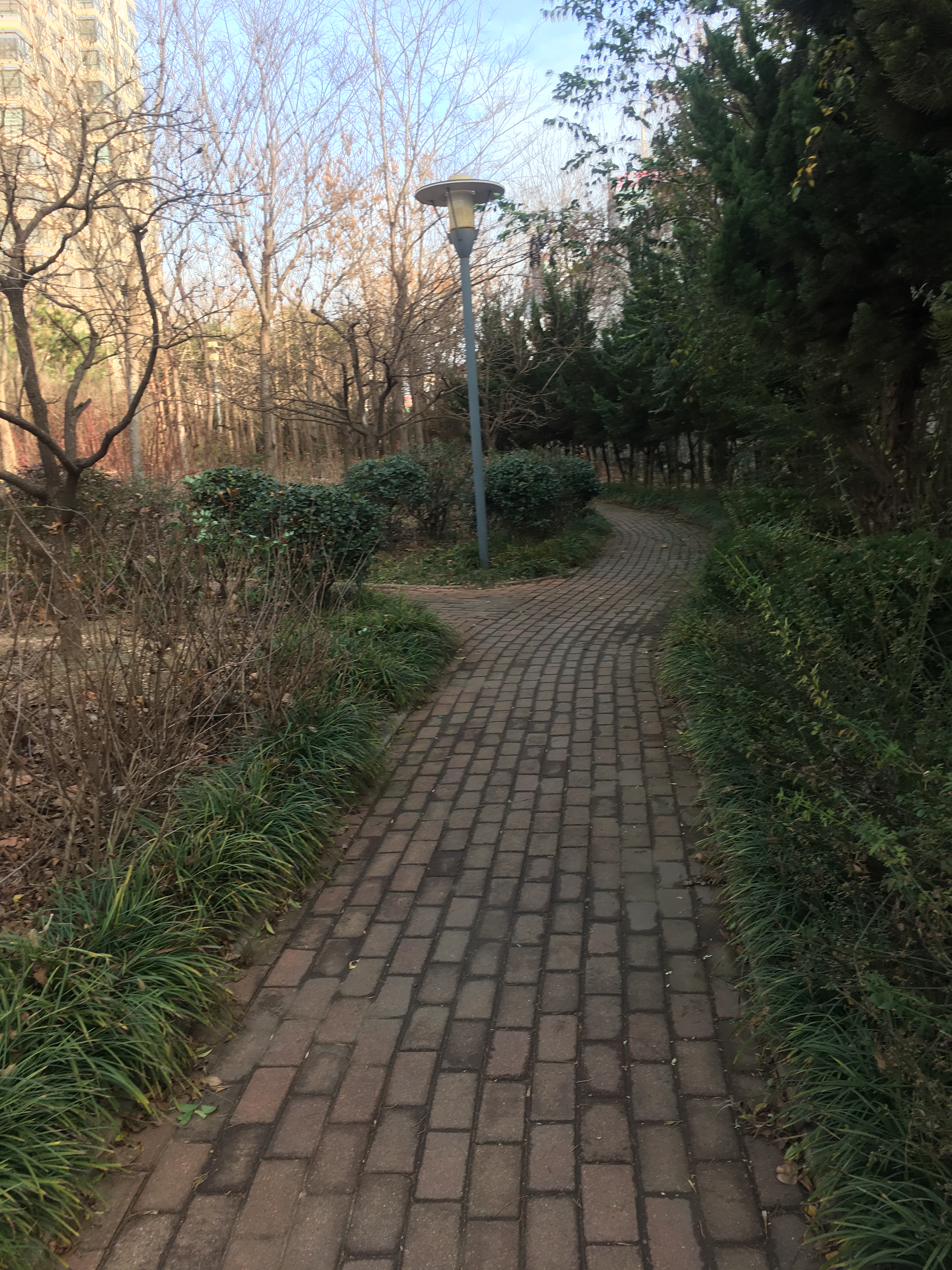 pao mo Cover: G. E. M. deng zi qi