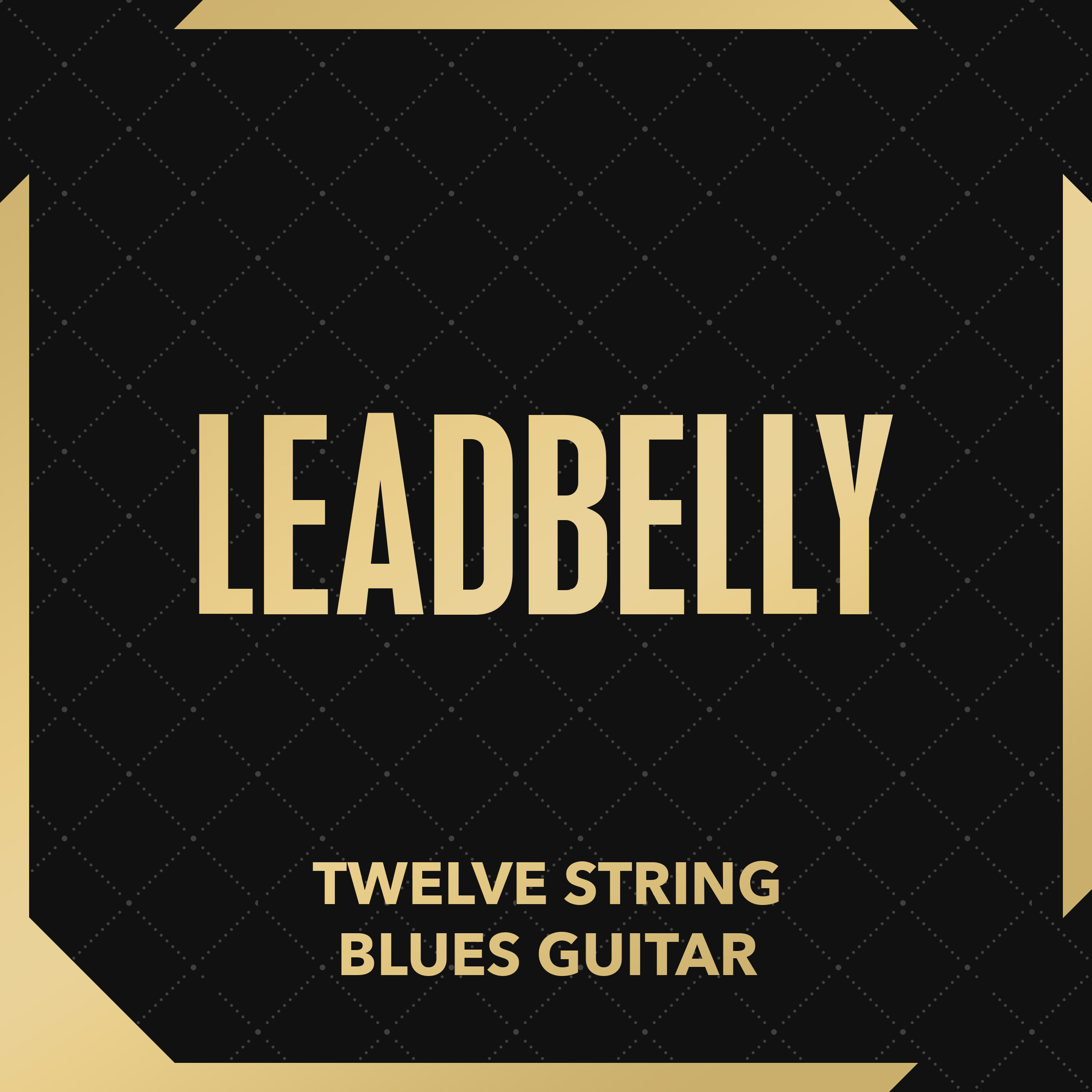 Twelve-String Blues Guitar
