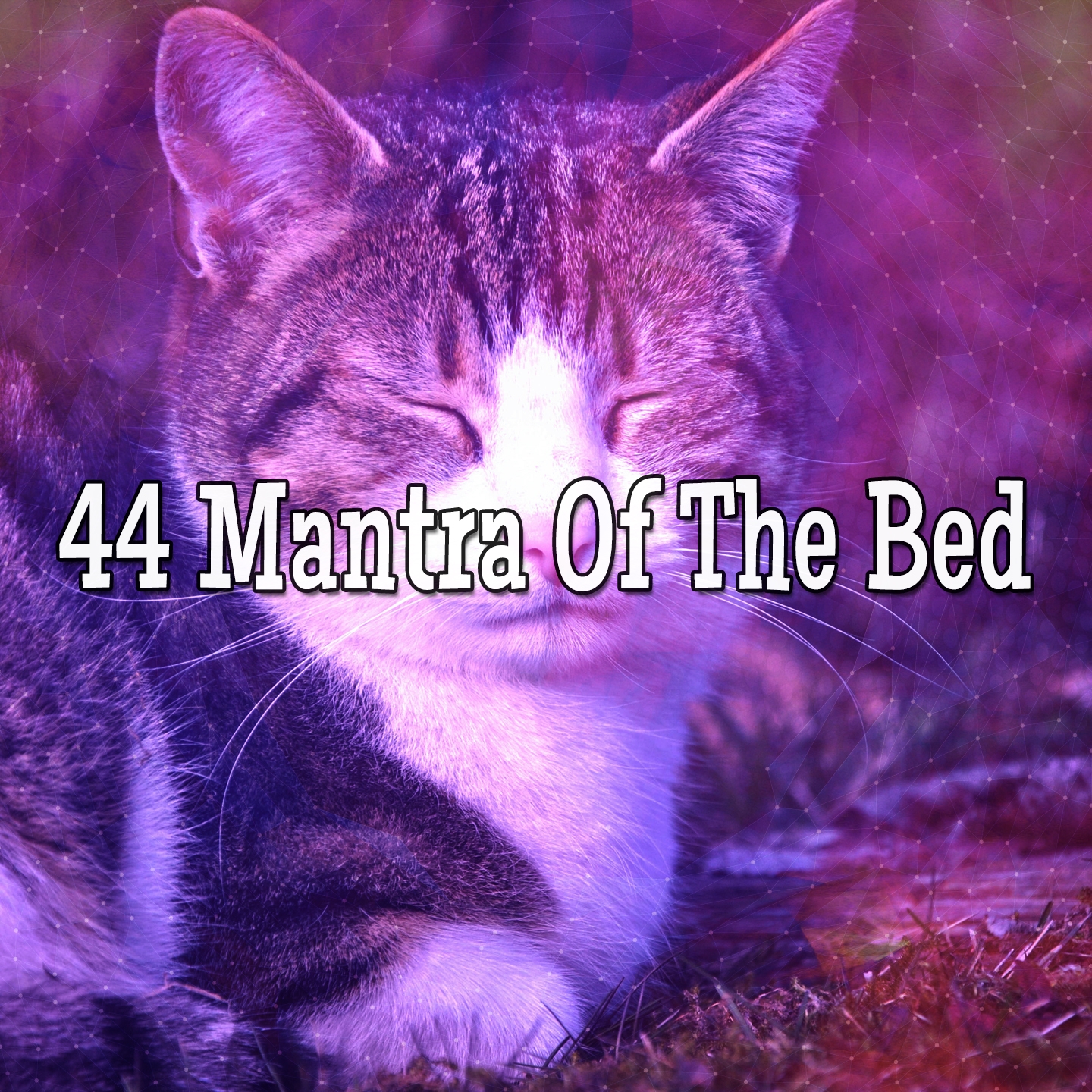 44 Mantra Of The Bed