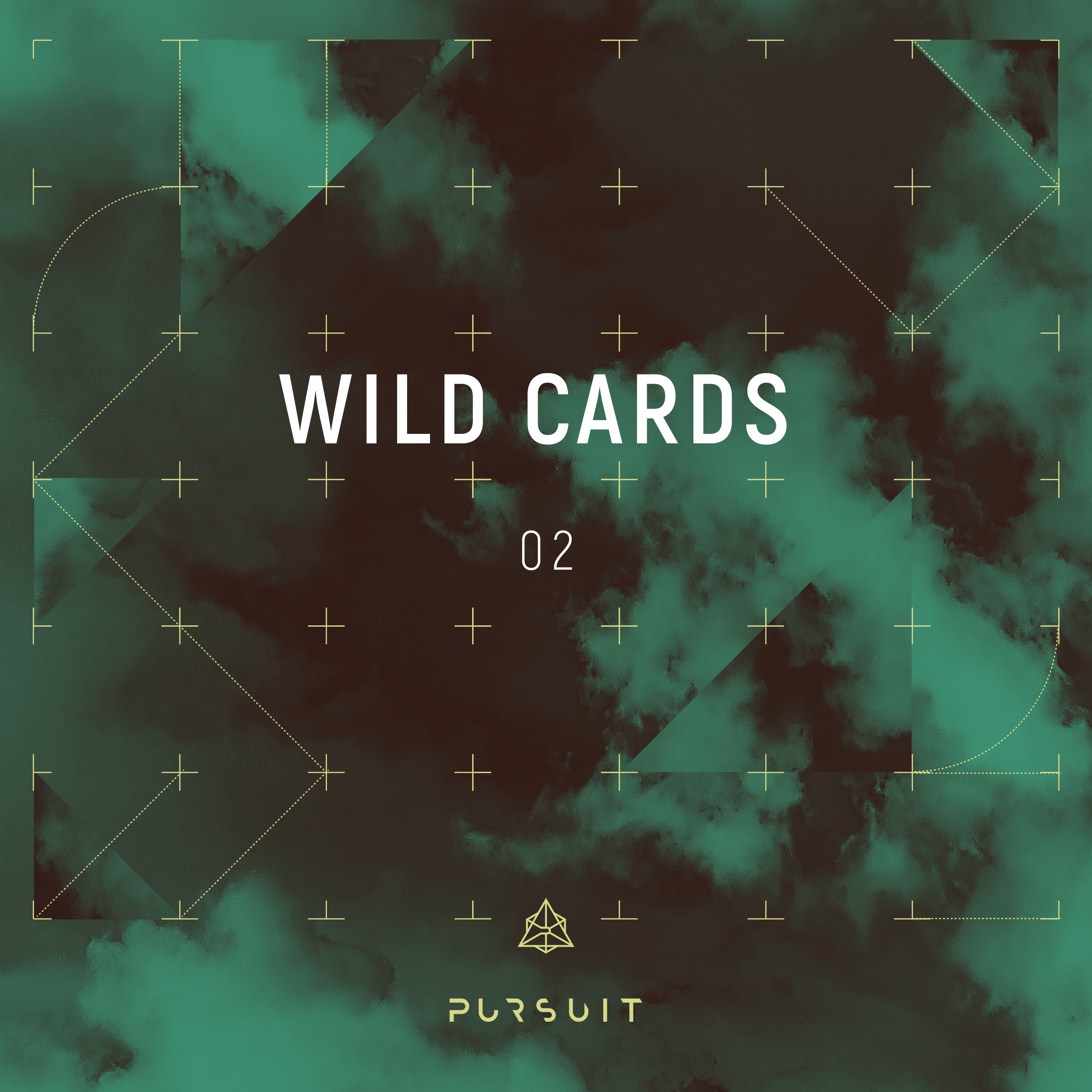 Wild Cards 02