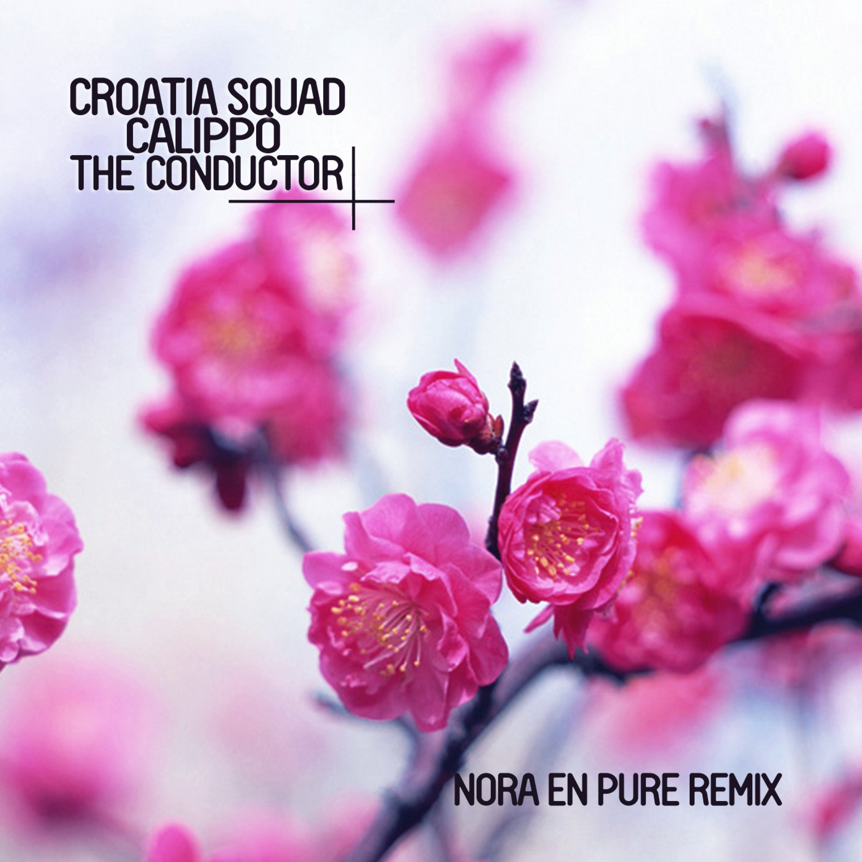 The Conductor (Nora en Pure Remixes)
