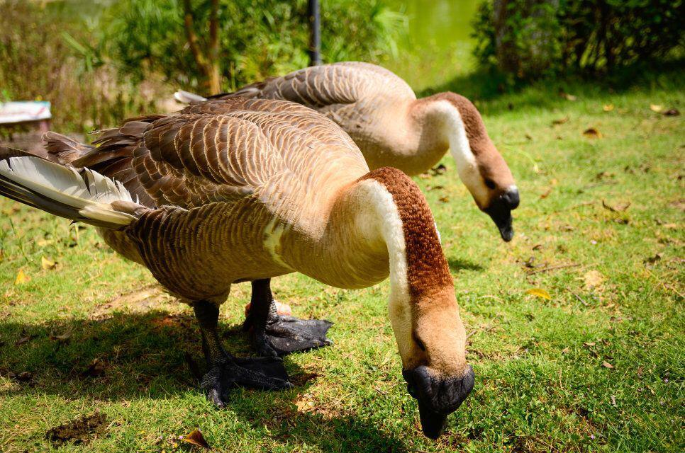 er zhong yu wo feng yu tong zhou