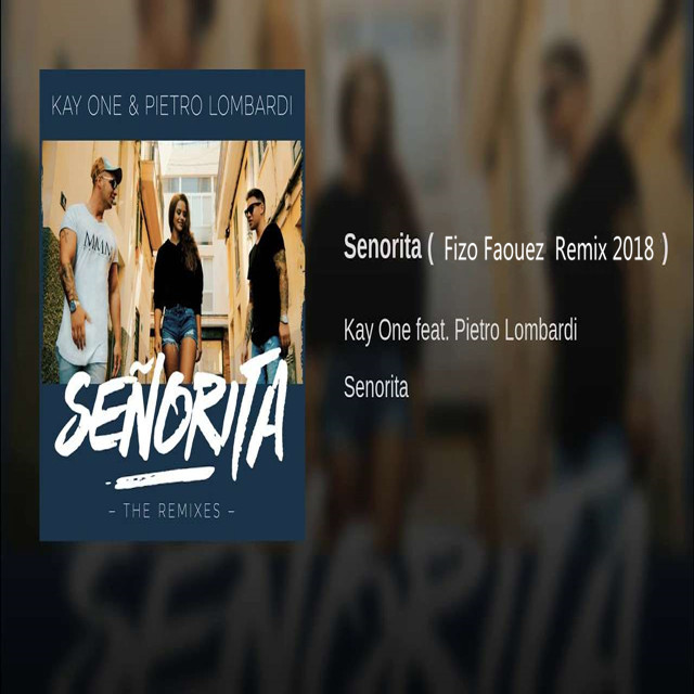Senorita ( Fizo Faouez Mombahton Remix 2018)