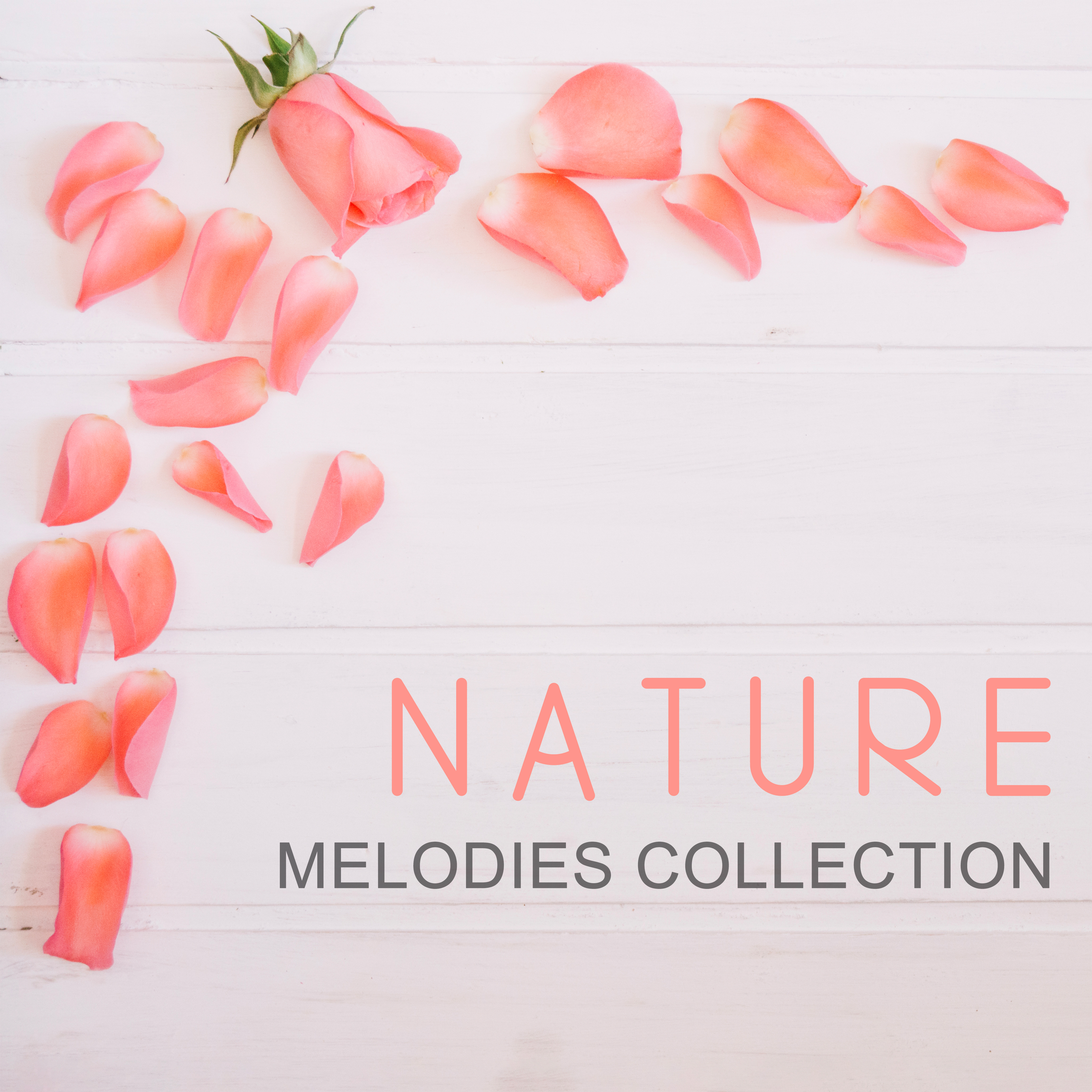 Nature Melodies Collection